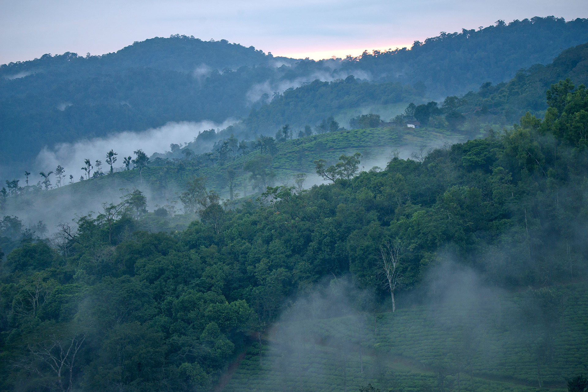      Valparai landscape GAN       | Nature Infocus
