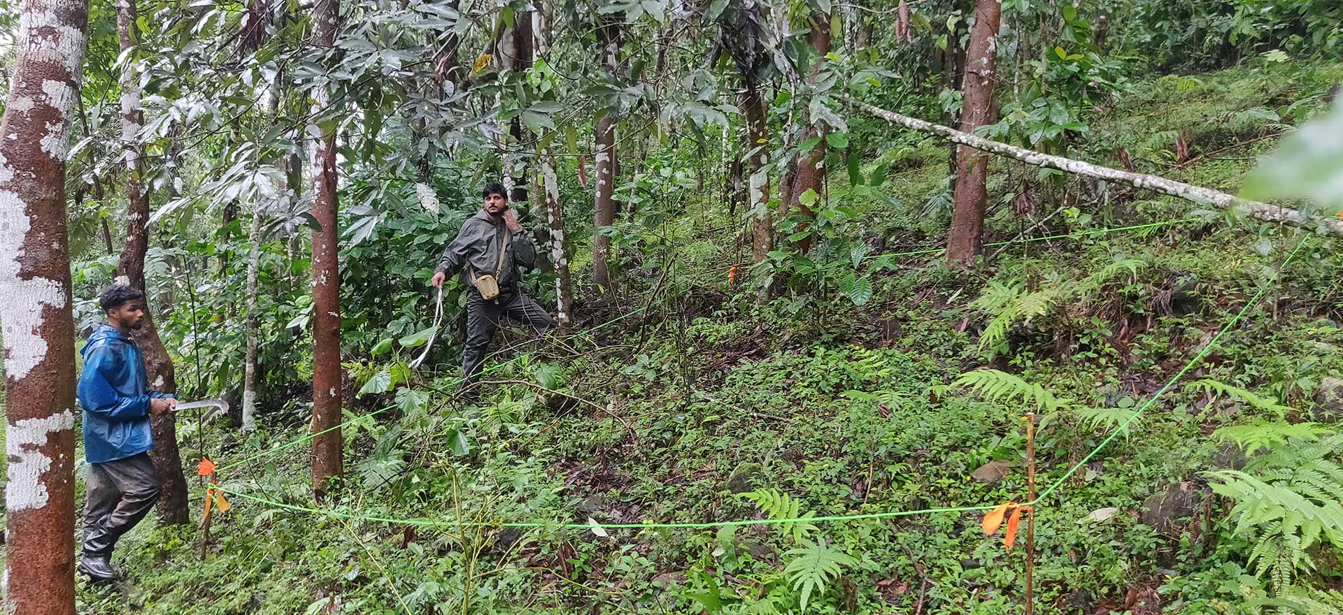 Vegetation plot TR Shankar Raman | Nature Infocus