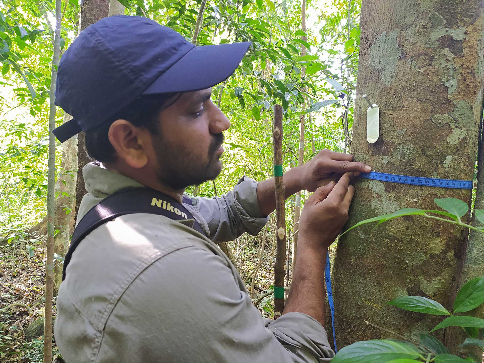 Vegetation plot VijayKarthick | Nature Infocus