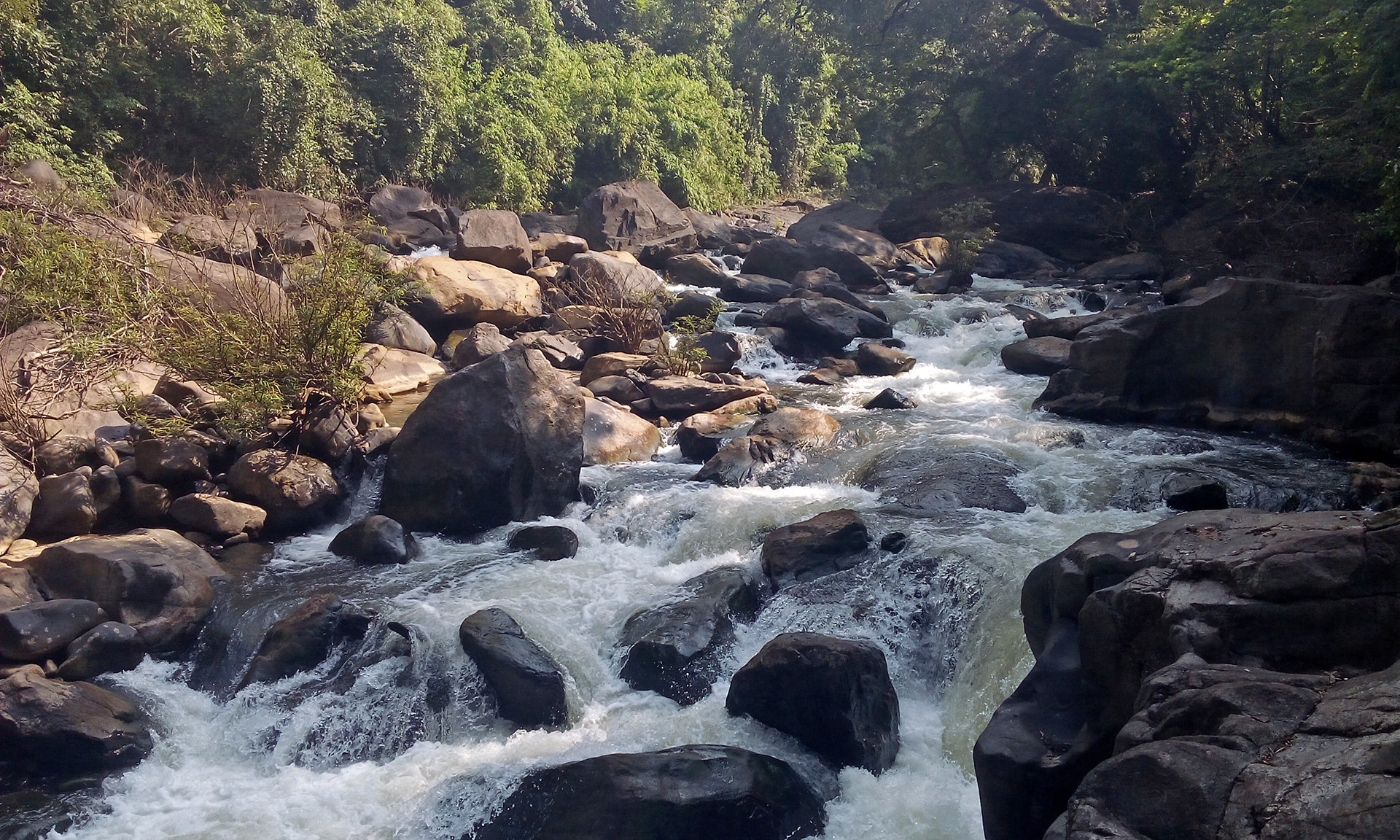 Wg river - A Voice For Our Rivers | Nature inFocus