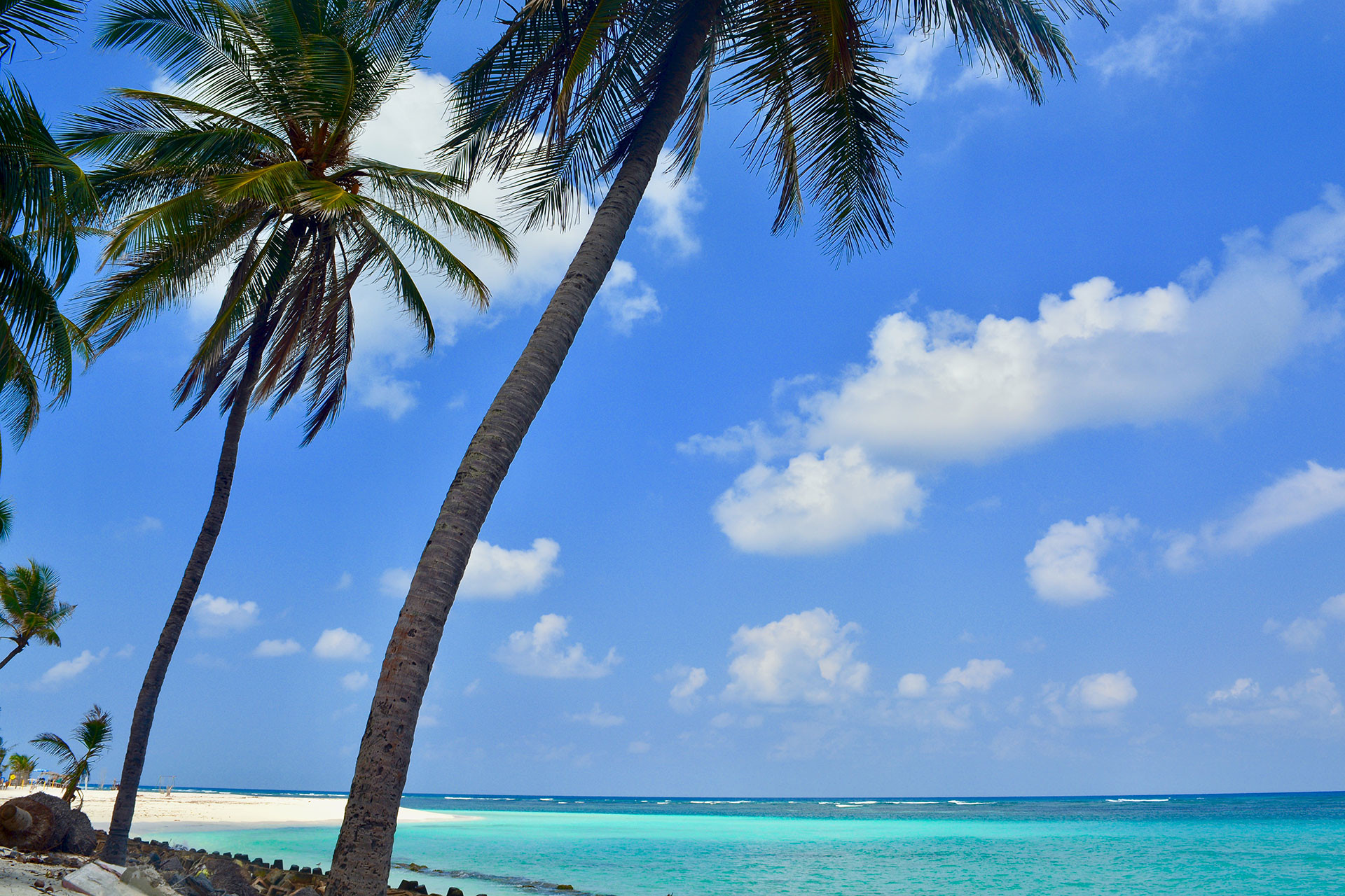 Wiki lakshadweep agatti islands - Lakshadweep Needs To Be Viewed Through The Lens Of Climate Change | Nature inFocus