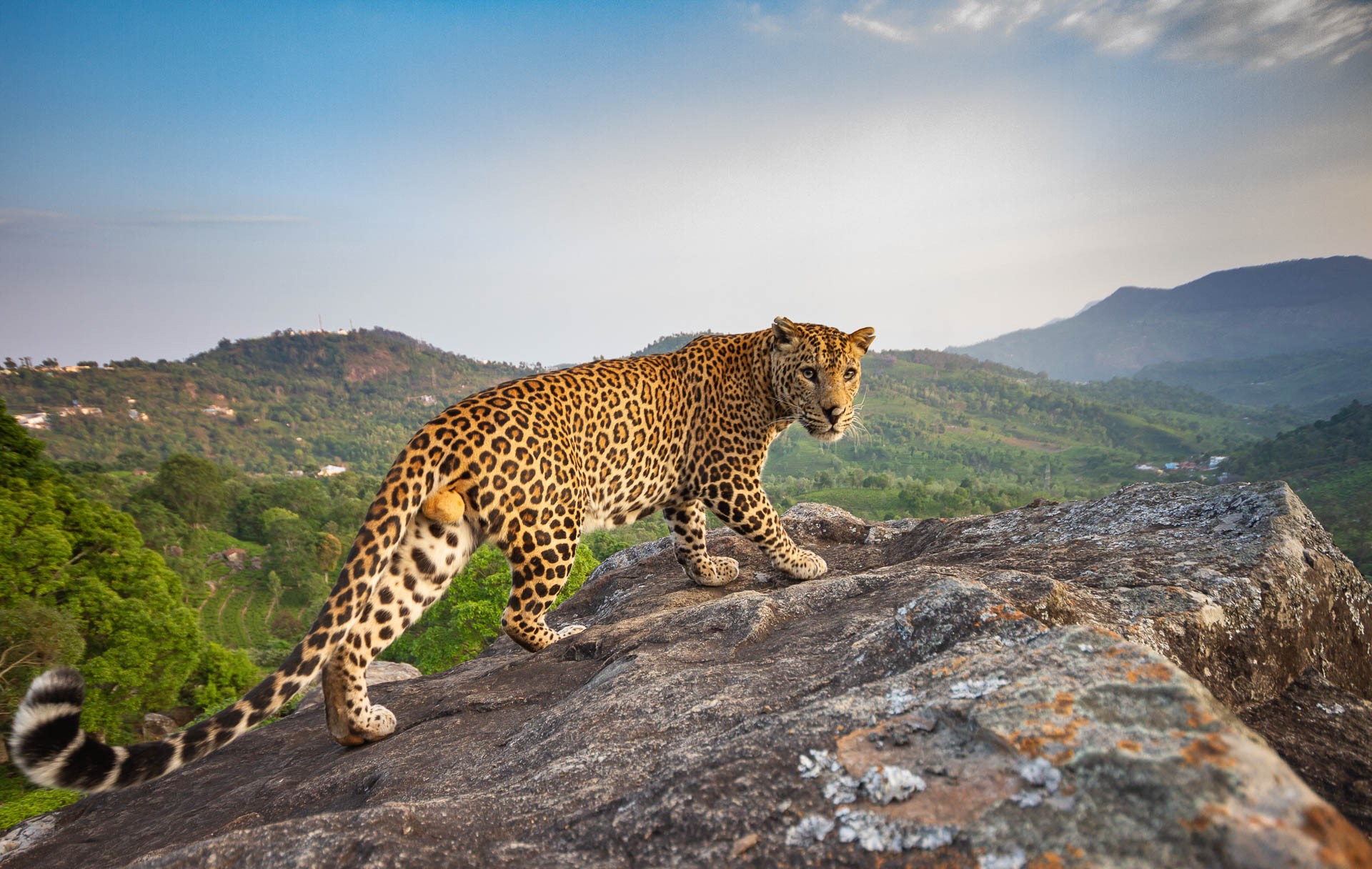 - Nature inFocus Photography Awards 2019: The Winners | Nature inFocus