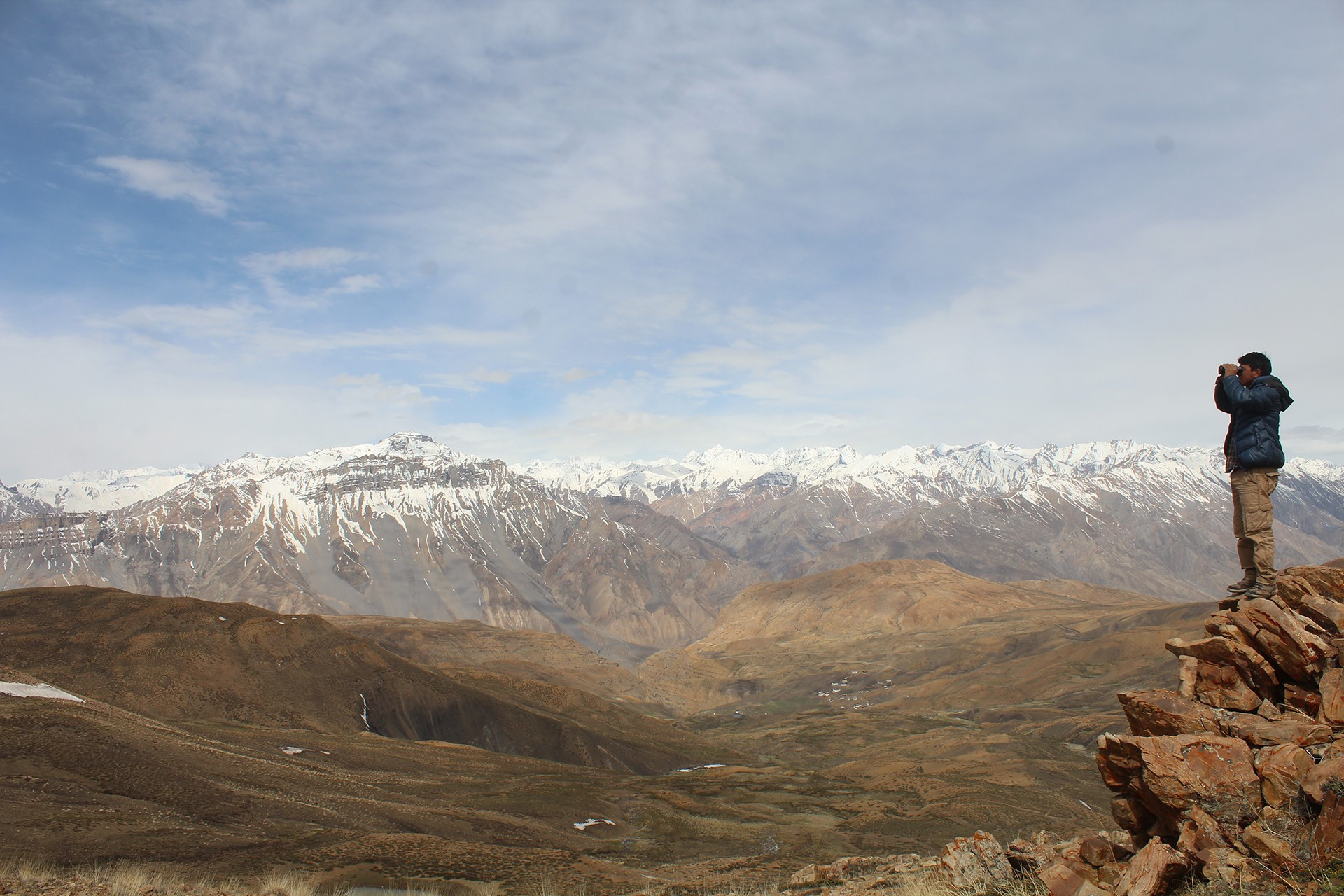 Scouting for Blue Sheep in Spiti Valley