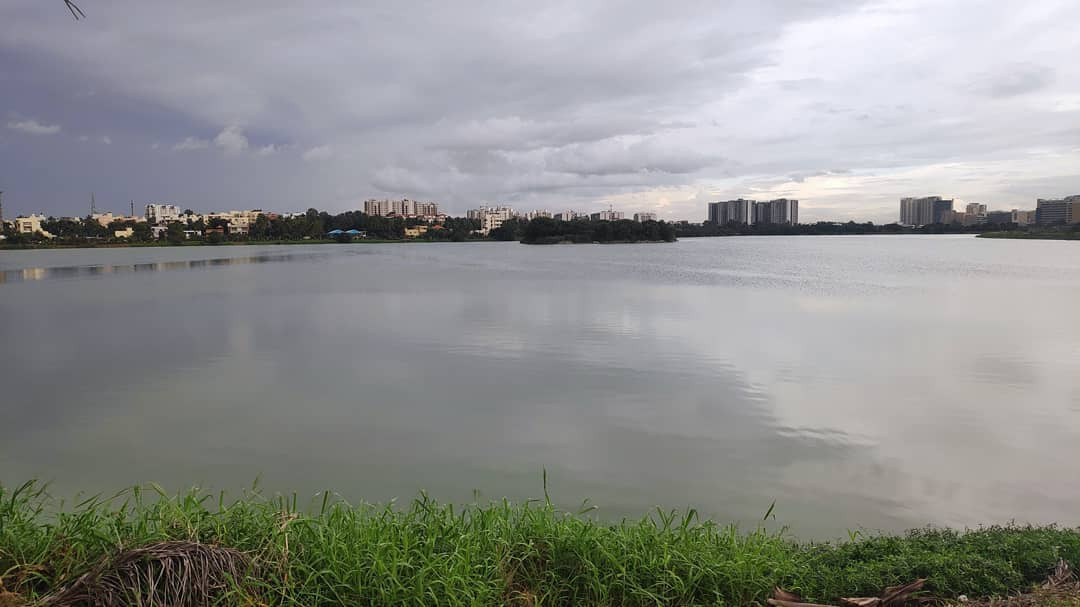 O - How Science And Research Are Crucial For Water Conservation | Nature inFocus