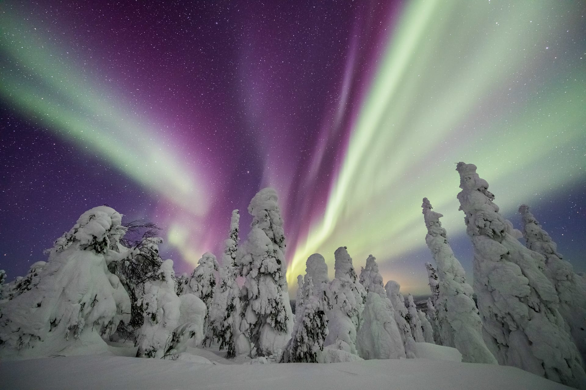 Northern Lights in Alaska