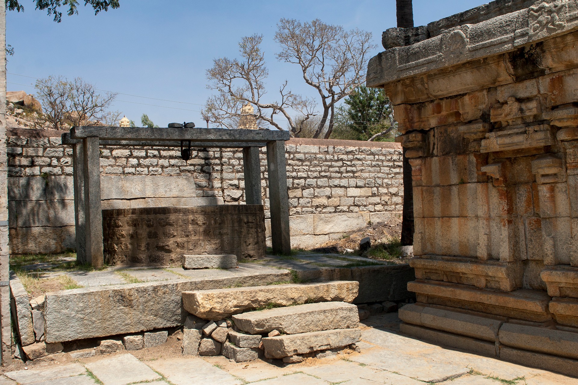 Avani mg - The Open Wells of Devarayasamudra | Nature inFocus