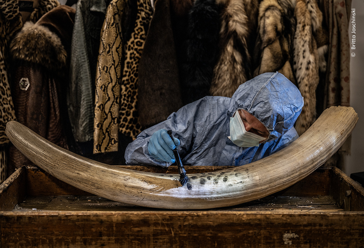   Britta Jaschinski  Wildlife Photographer of the Year | Nature Infocus
