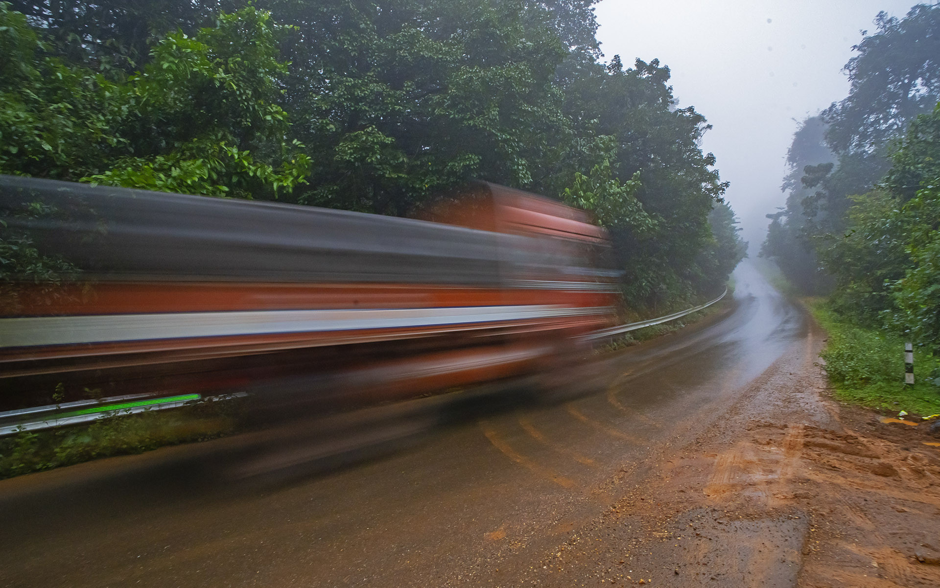 Linear intrusion and roads cutting through Myristica forests in Karnataka
