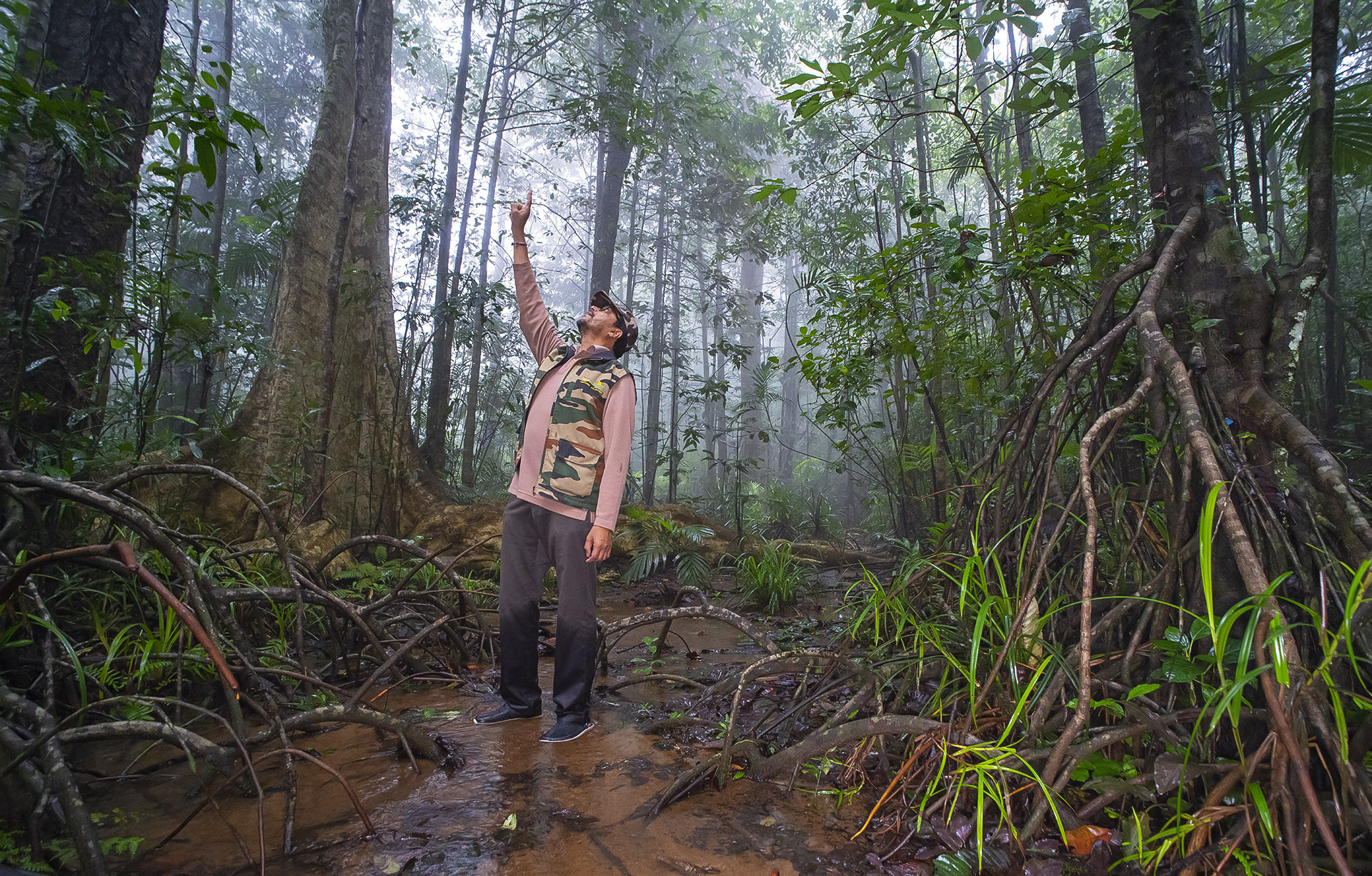 Dr R. Vasudeva, a professor at the College of Forestry in Sirsi published a paper on Semecarpus kathalekanensis