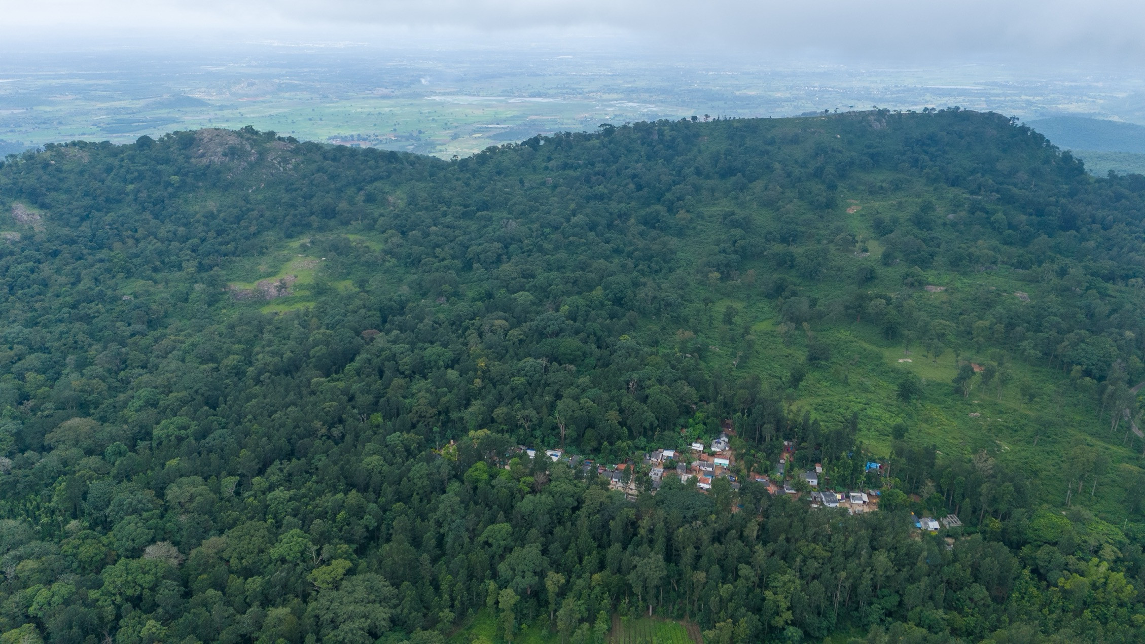 DJI                     D | Nature Infocus