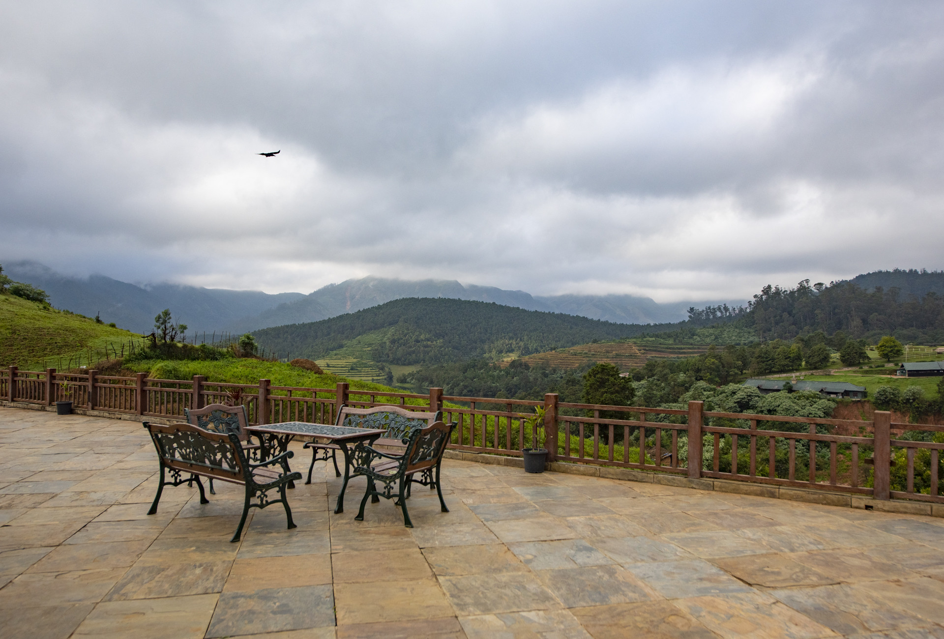 Dsc      pp - Destiny Farm Stay: A Slice Of Heaven In The Nilgiris | Nature inFocus