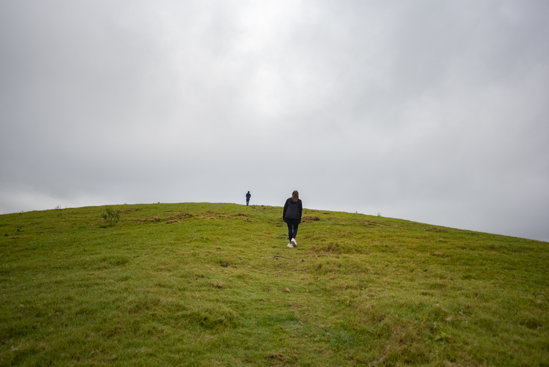 Dsc      pp - Destiny Farm Stay: A Slice Of Heaven In The Nilgiris | Nature inFocus