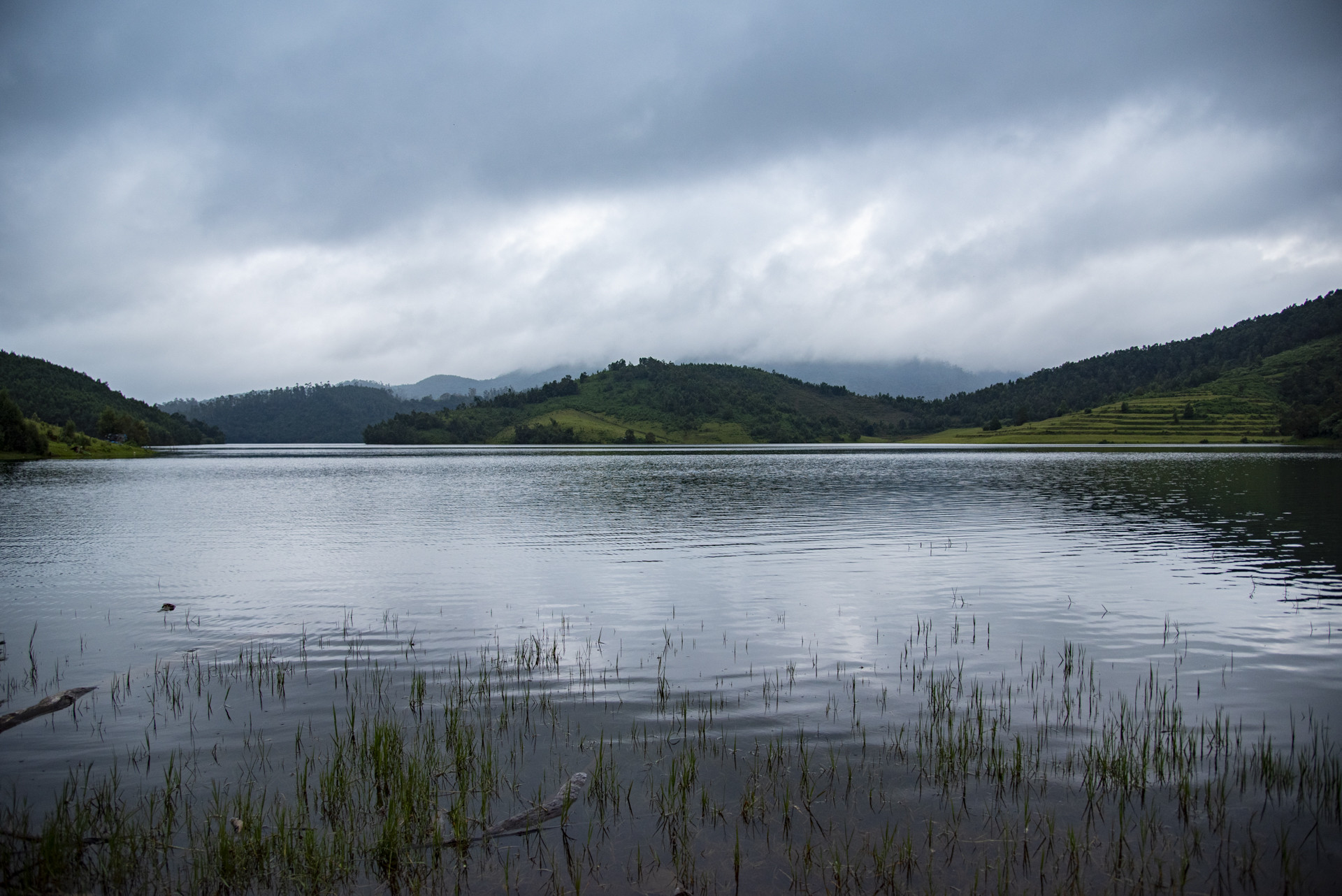 Dsc      pp - Destiny Farm Stay: A Slice Of Heaven In The Nilgiris | Nature inFocus