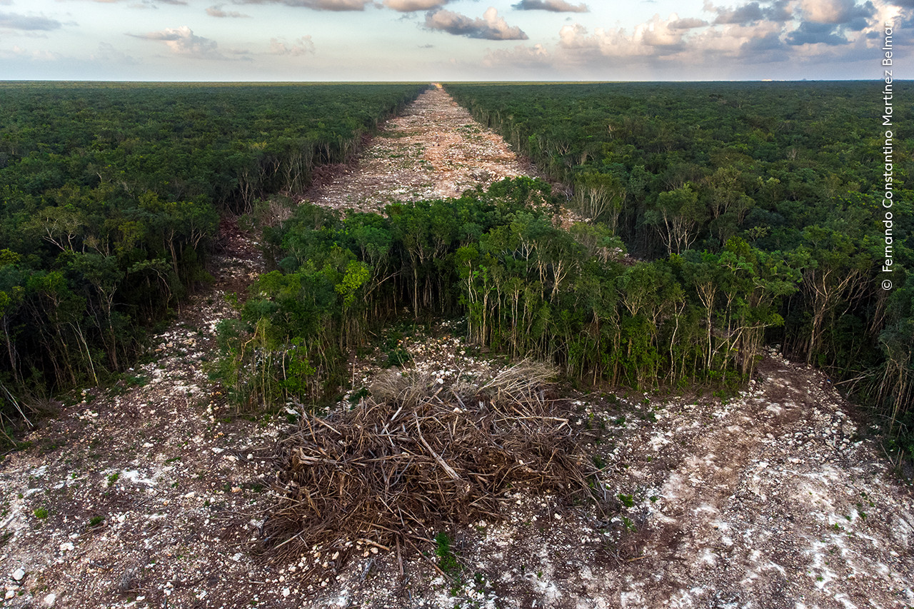   Fernando Constantino Marti nez Belmar  Wildlife Photographer of the Year | Nature Infocus