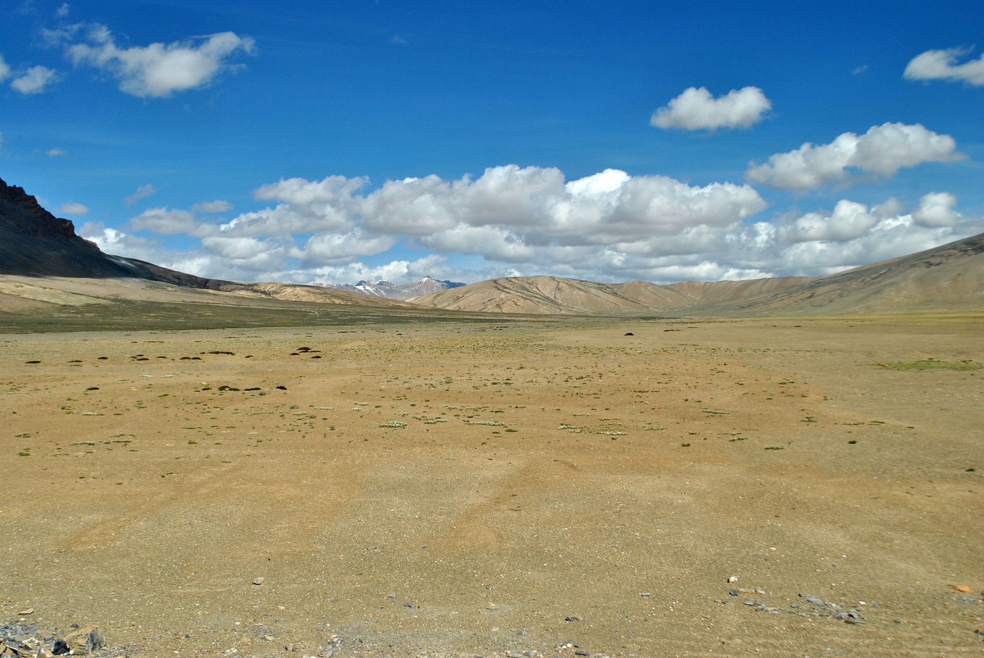 Steppe landscape of the Changthang plateau