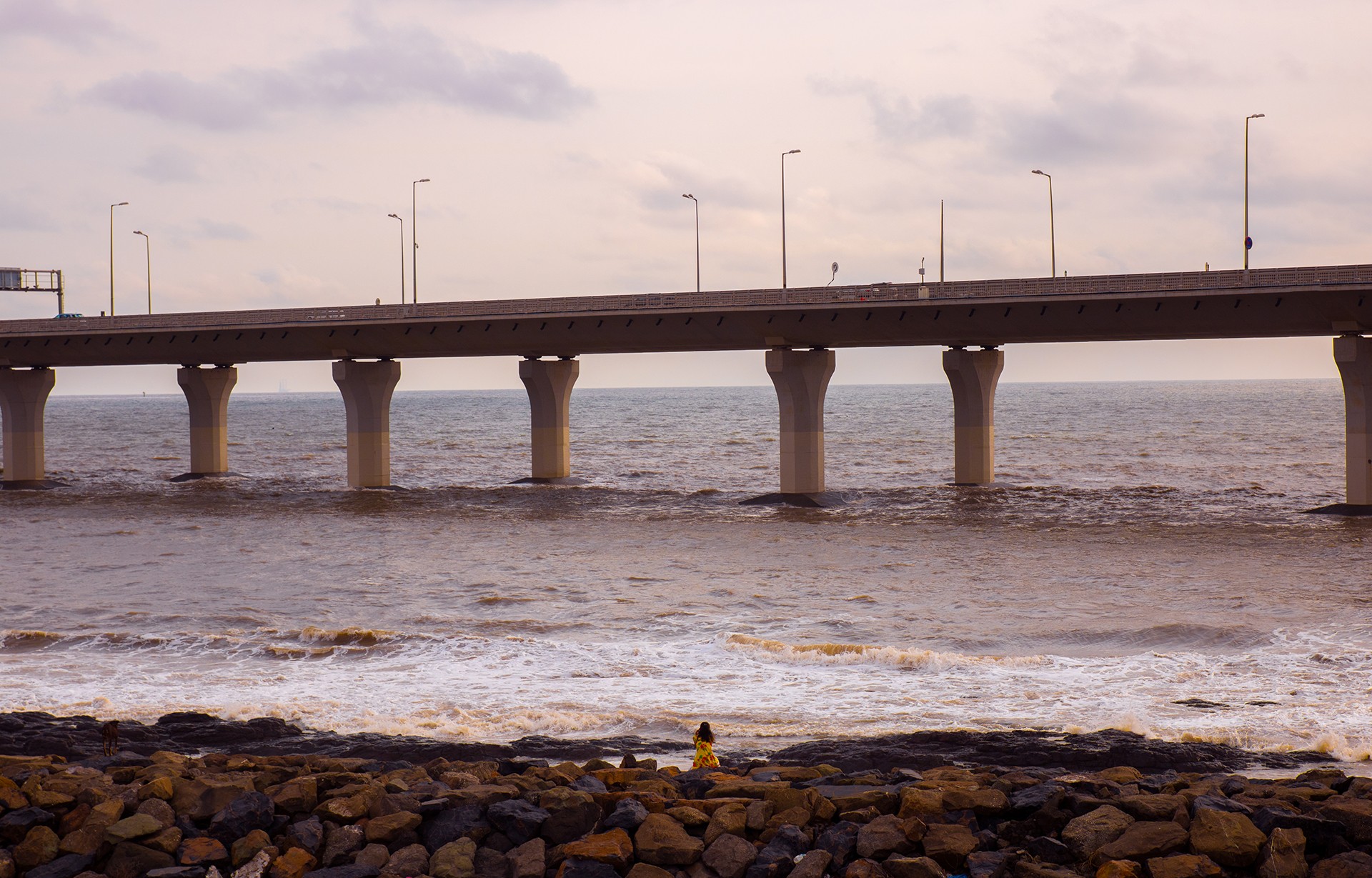 Bandra-Worli Sea Link