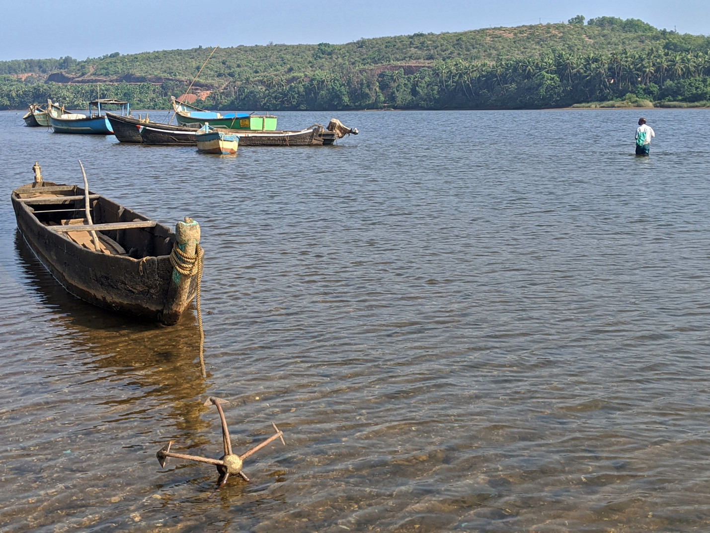 Img - On Rivers That Flow And Dams That Stow | Nature inFocus