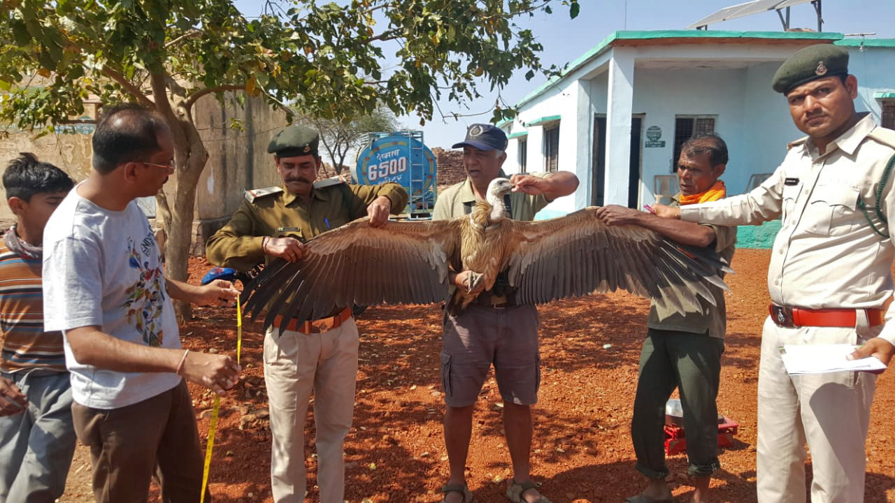 Img wa - Birders Flock To The Forests Of Madhya Pradesh | Nature inFocus