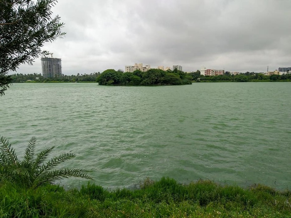 Jakkur lake - Decoding India’s Water Crisis, With The Zenrainman | Nature inFocus