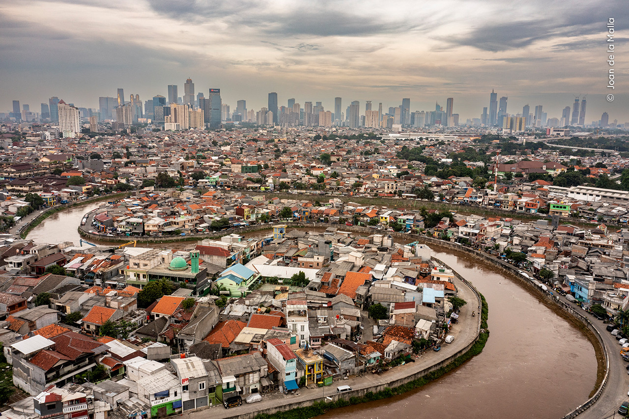   Joan de la Malla  Wildlife Photographer of the Year | Nature Infocus