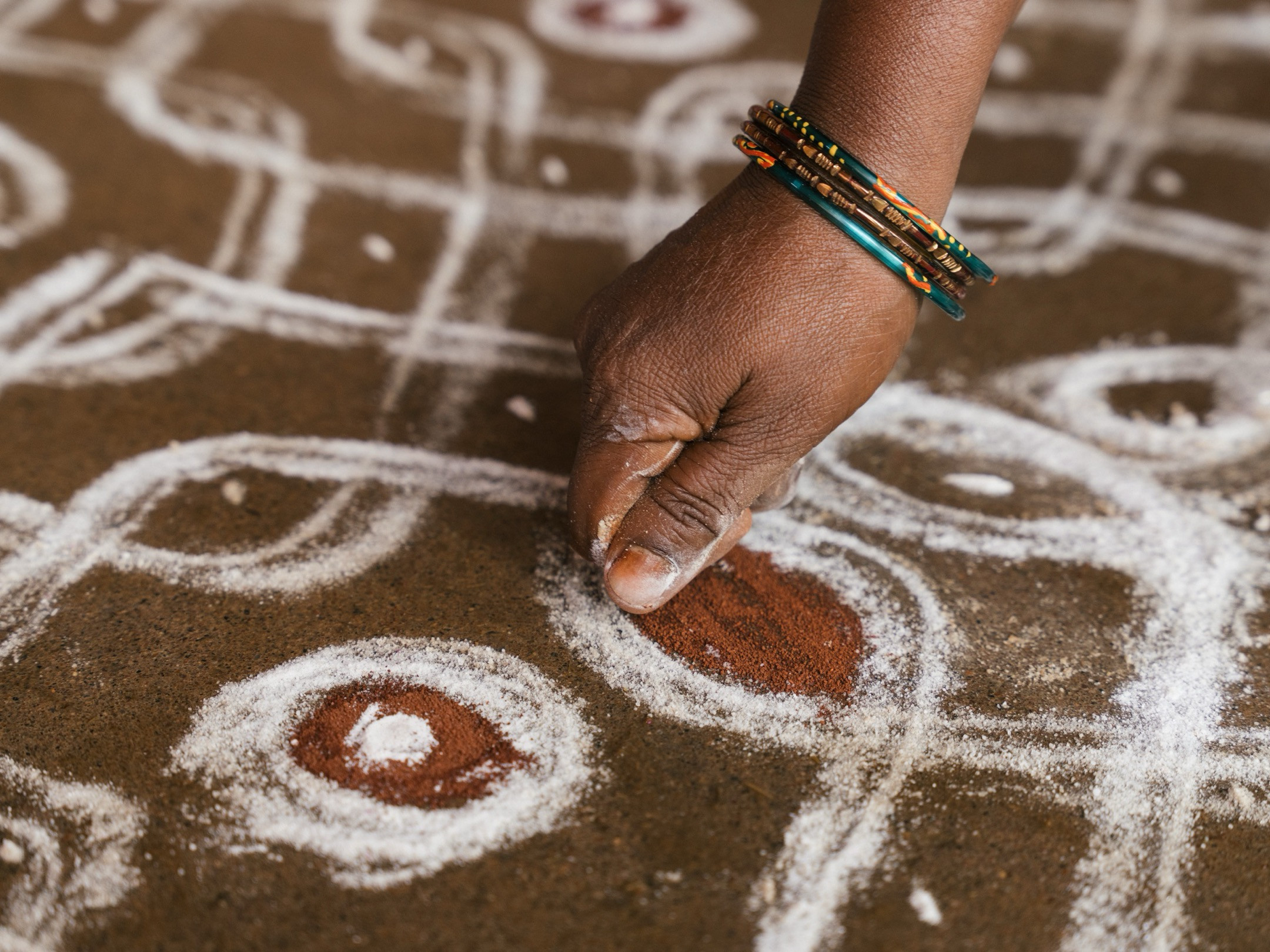 Kolam    | Nature Infocus