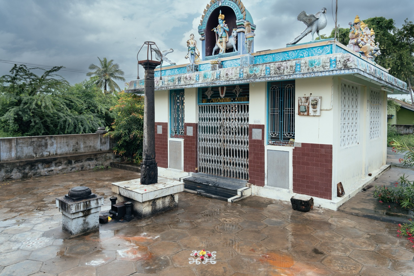 Kolam    | Nature Infocus