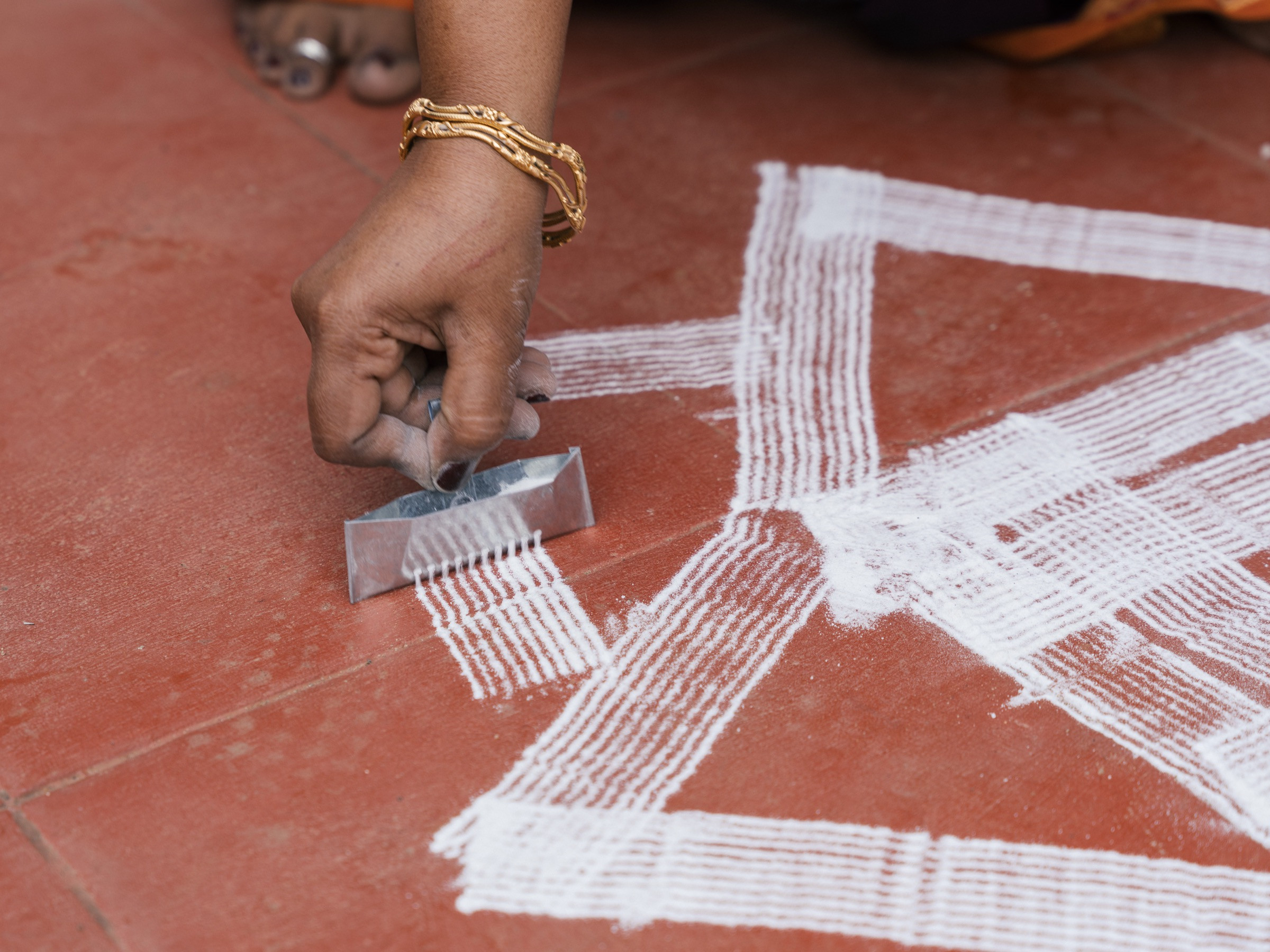 Kolam CBE    | Nature Infocus