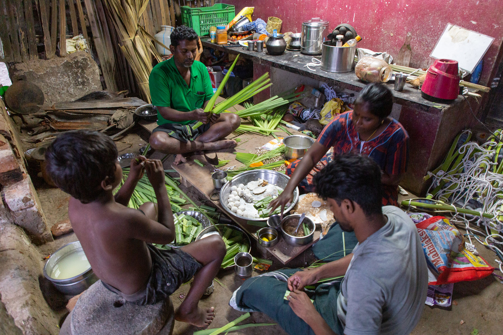 PATTABI RAMAN PALM      | Nature Infocus