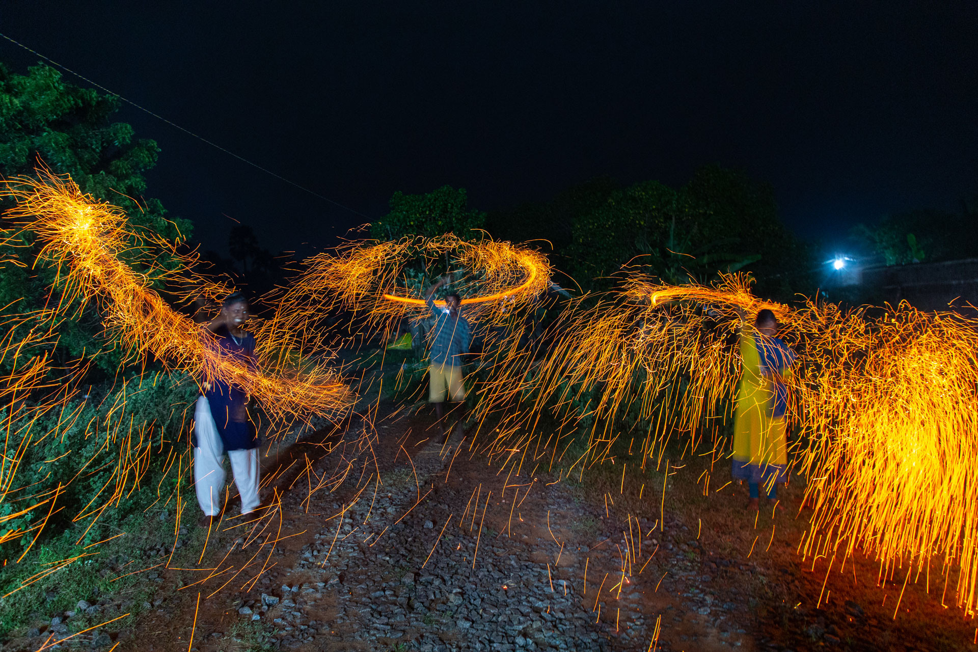 PATTABI RAMAN PALM      | Nature Infocus