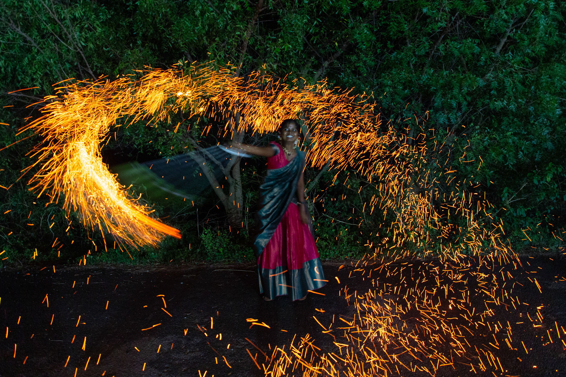 PATTABI RAMAN PALM      | Nature Infocus