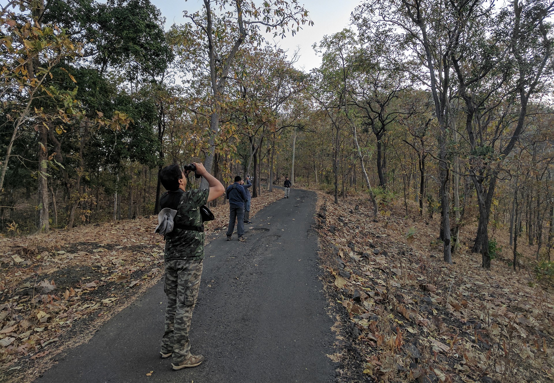Birdwatching in tansa wildlife sanctuary