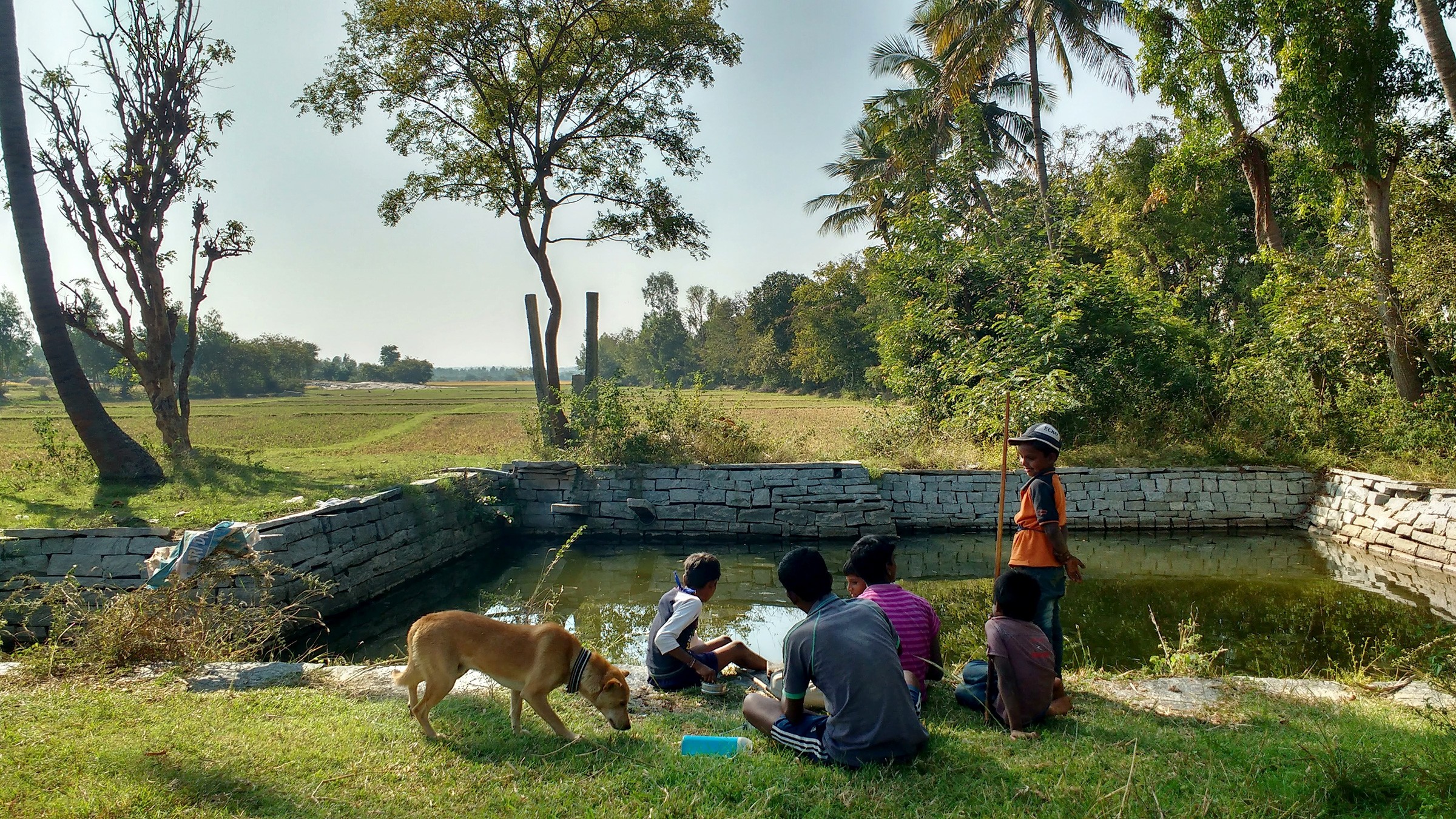 The well of doddahonnashettyhalli web - The Open Wells of Devarayasamudra | Nature inFocus
