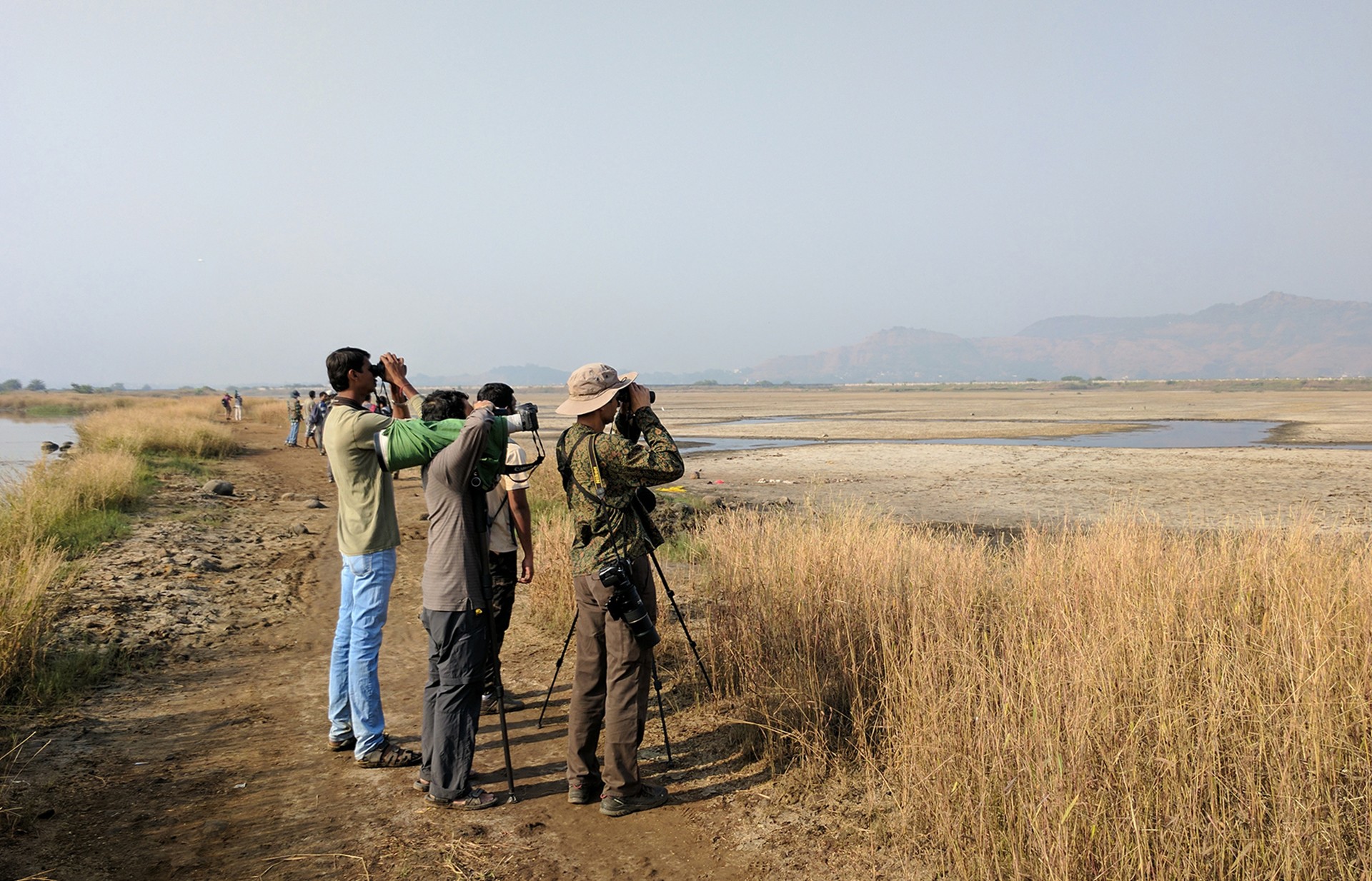 Birdwatching in Uran Navi Mumbai