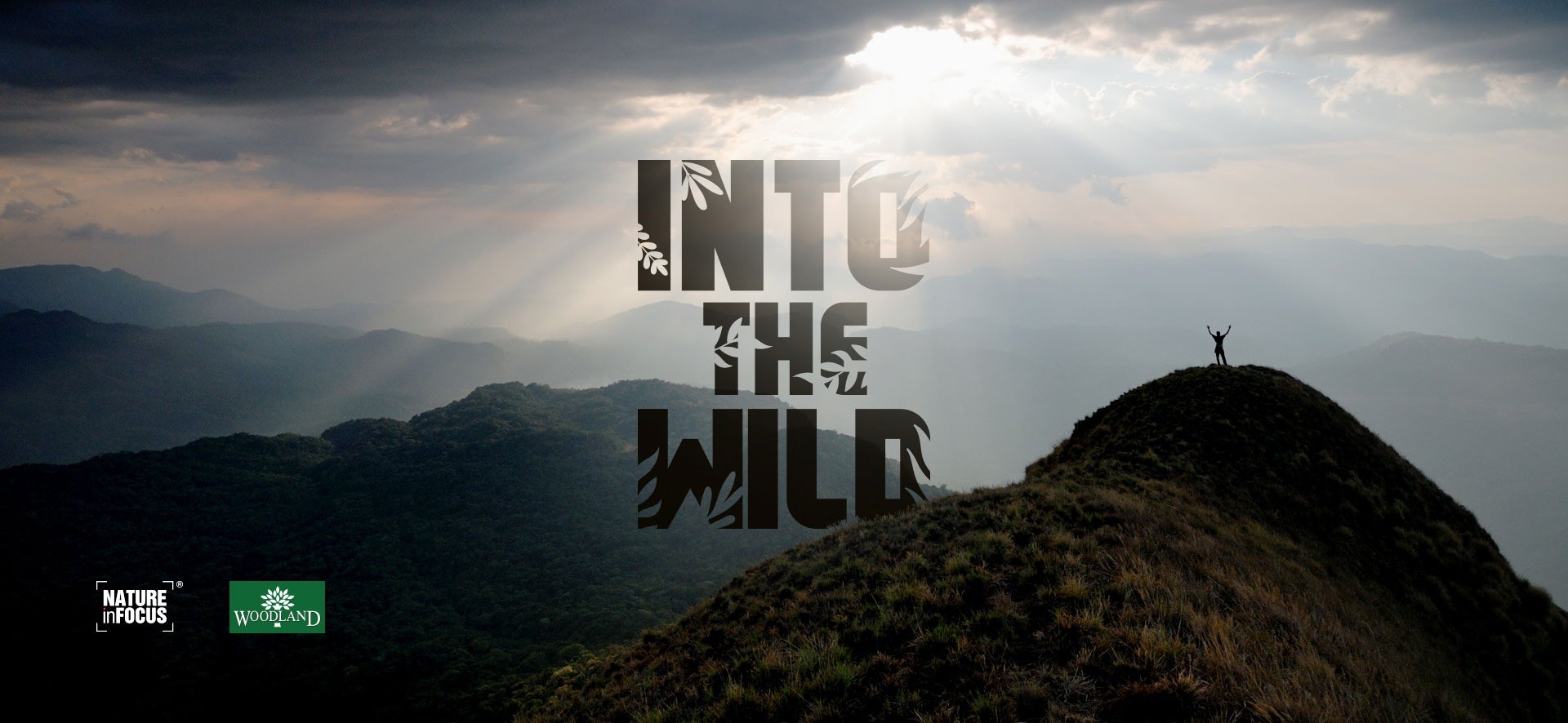 Into The Wild