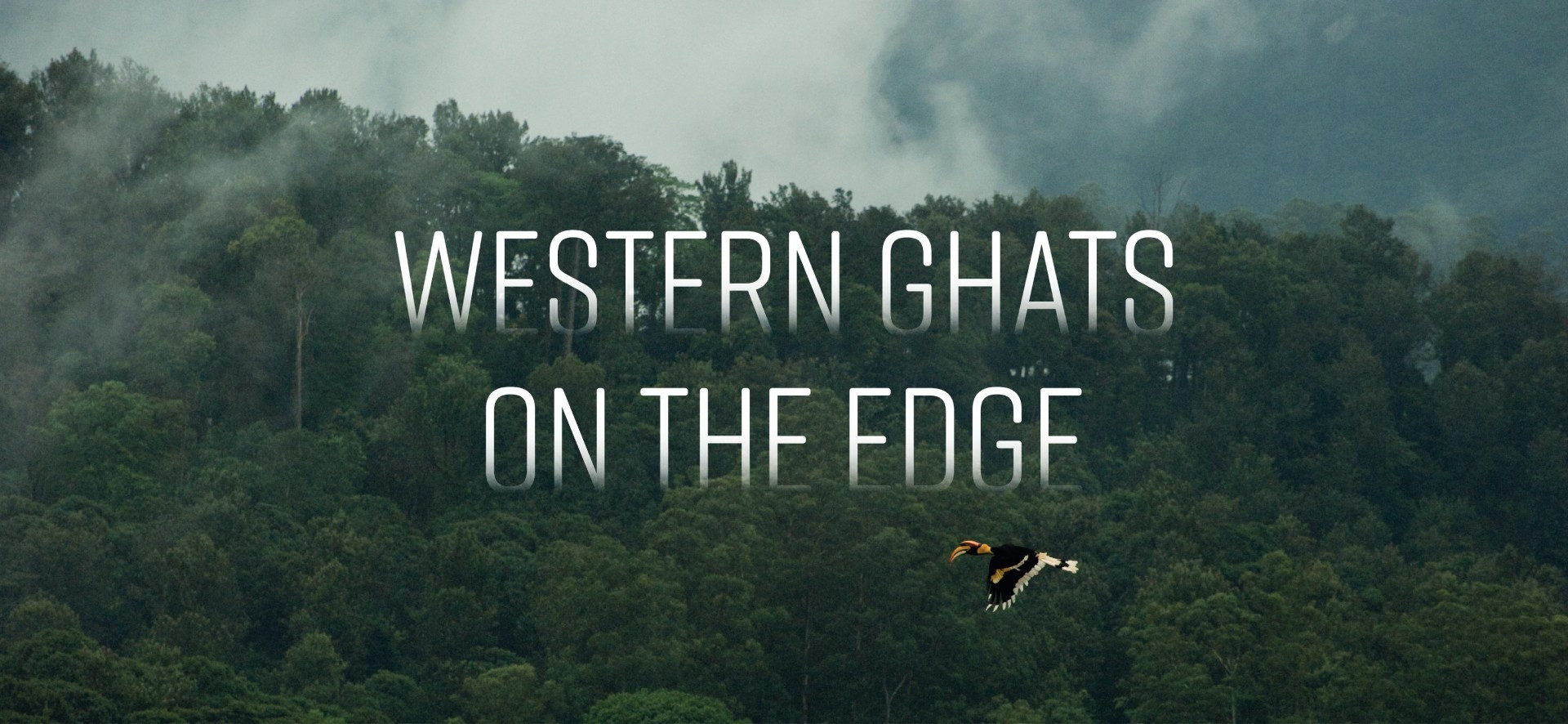 Western Ghats On The Edge