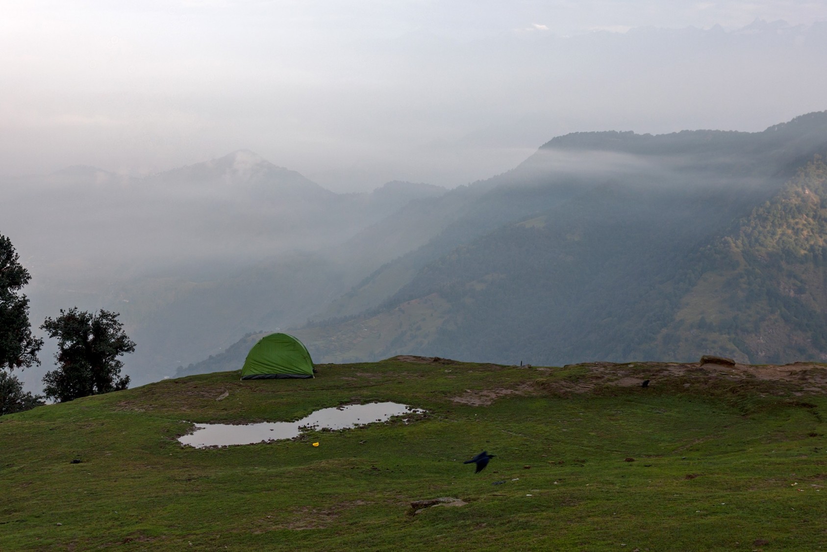 Chopta, in Uttarakhand, is often called mini-Switzerland, a hat tip to its beautiful meadows and evergreen forests. On a clear day, it offers excellent views of the imposing Himalayan peaks of Chaukhamba, Nanda Devi. I pitched my tent here, and hoped that the clouds would clear. At around 8pm, the skies finally obliged. I lost myself in the stars, and tried to make some photographs of the Milky Way too. The good weather was short-lived, though. It rained heavily that night, and I discovered that my tent leaked. 