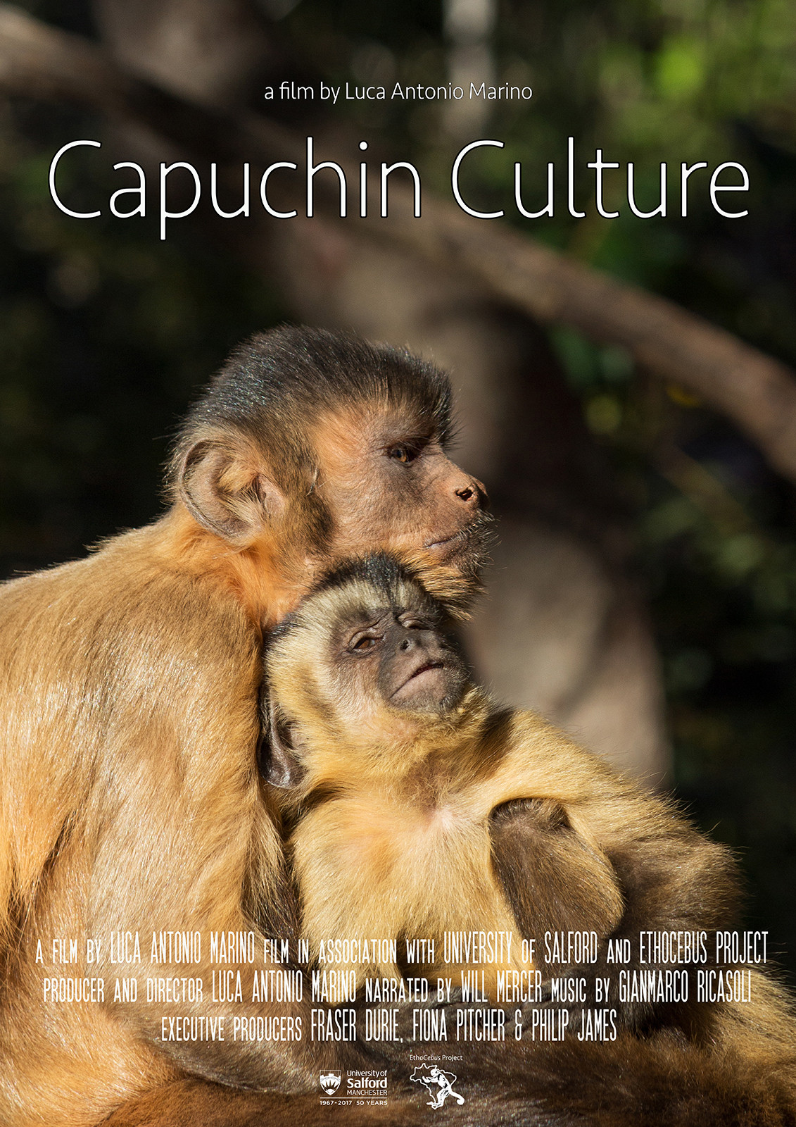 Capuchin culture poster - Nature inFocus Film Awards 2020: The Winners | Nature inFocus