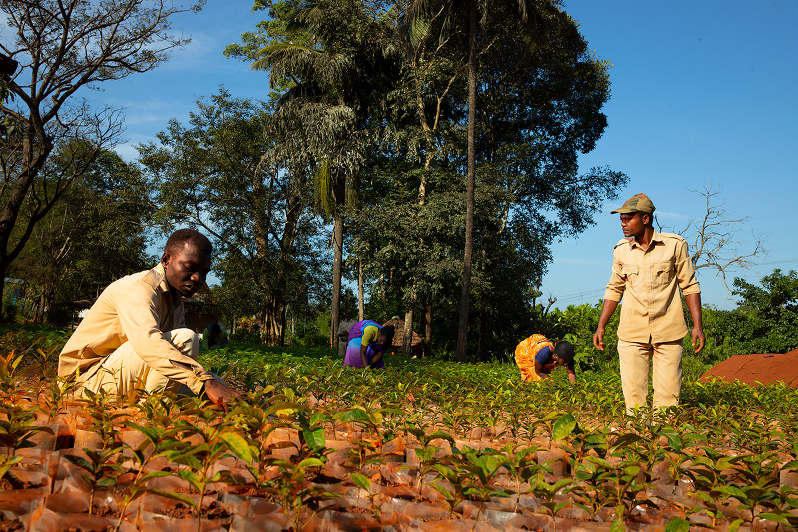 Celebrating The Forests Of Karnataka Nature inFocus