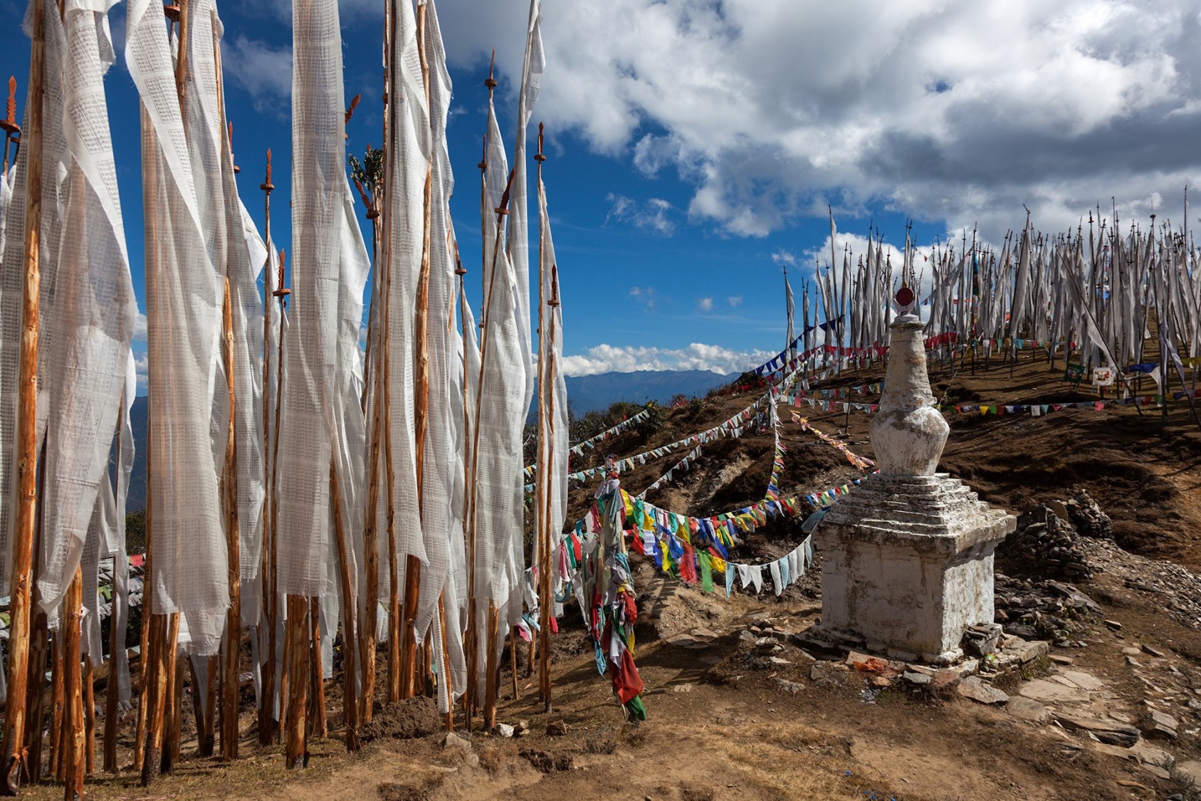 Most of the high passes in the Himalayas are adorned with fluttering Tibetan prayer flags. These were strung up in Chele La, Paro, Bhutan. The belief is that the prayers are carried away in the wind, spreading peace and compassion to the surroundings. 