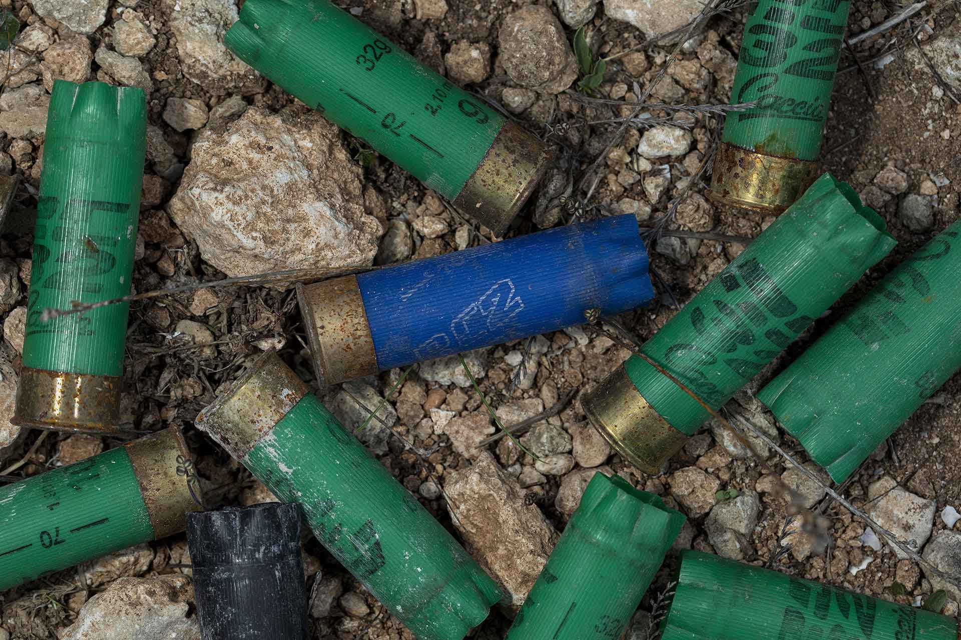 The Battle Against Illegal Bird Hunting In Malta Nature inFocus