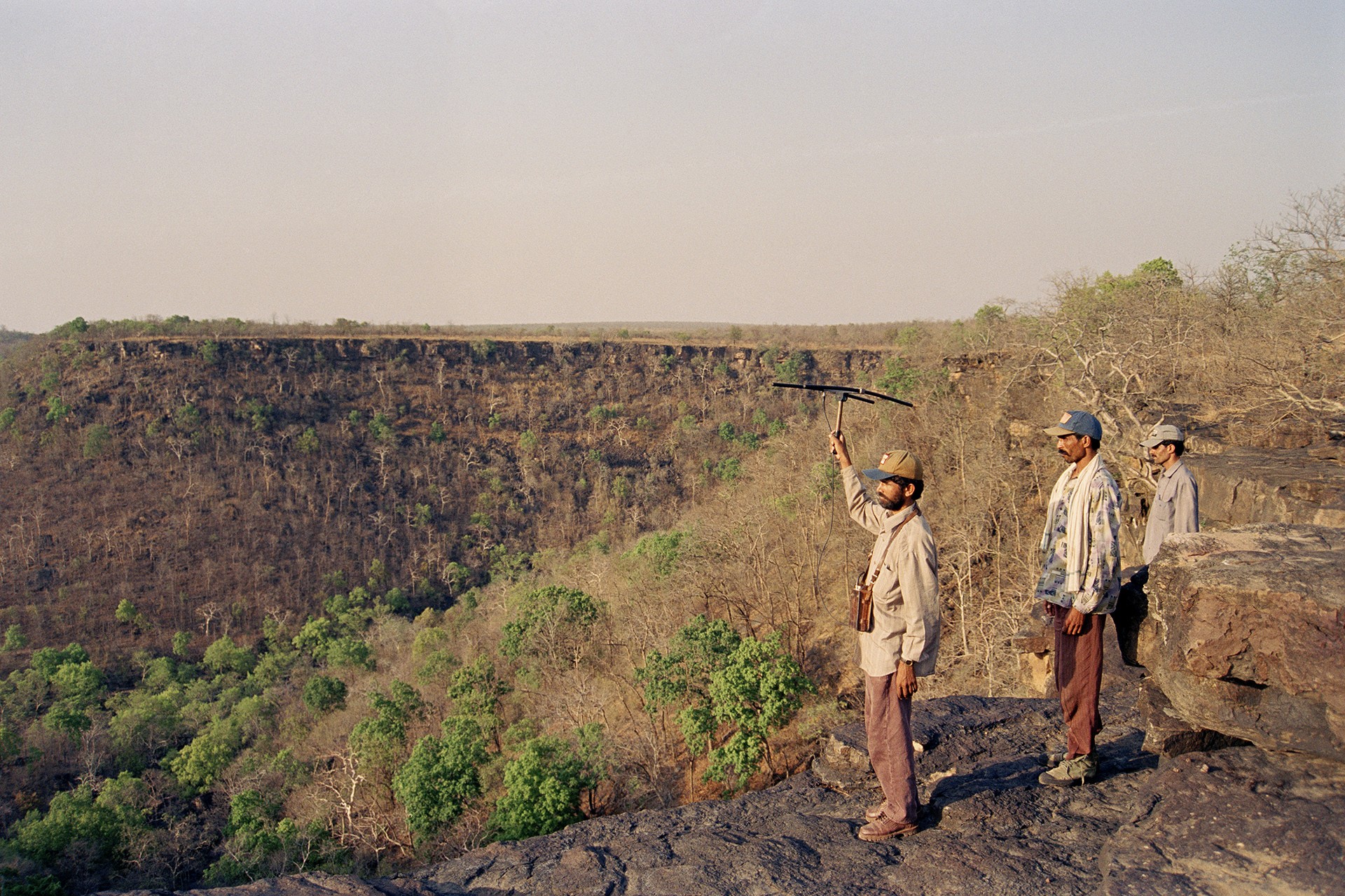 Tracking tigers for research in Panna National Park