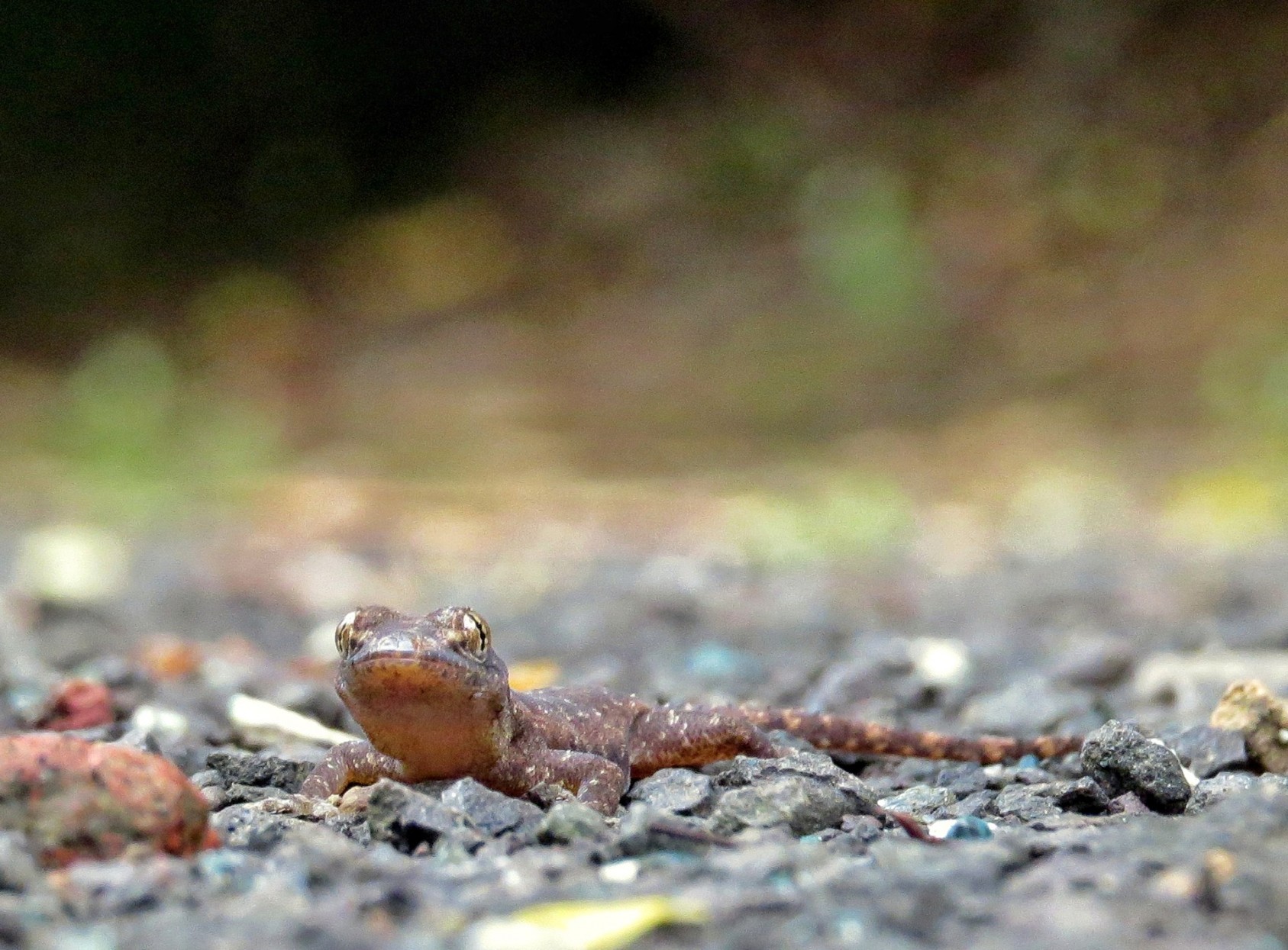 When looking down gives you the opportunity to make new friends. Bordi, MaharashtraPhotograph: Avadhesh Shashi Dhar