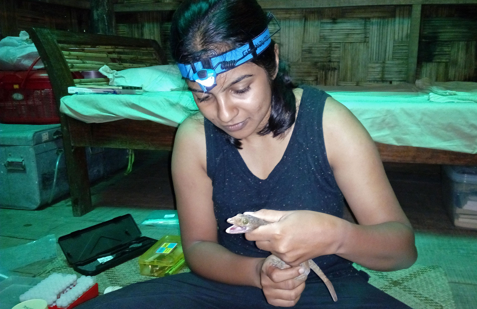 AVM sampling by NPM | Nature Infocus