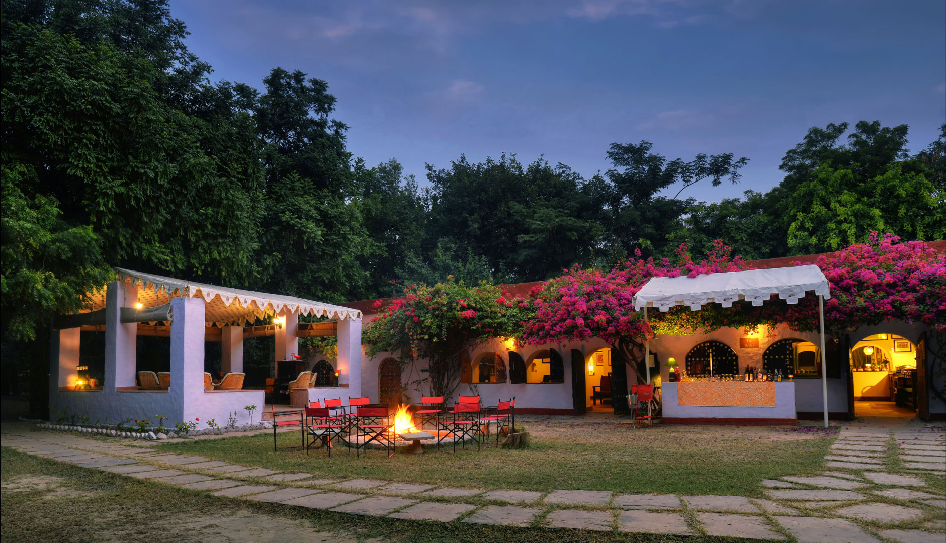      Chambal Safari Bar Lounge | Nature Infocus