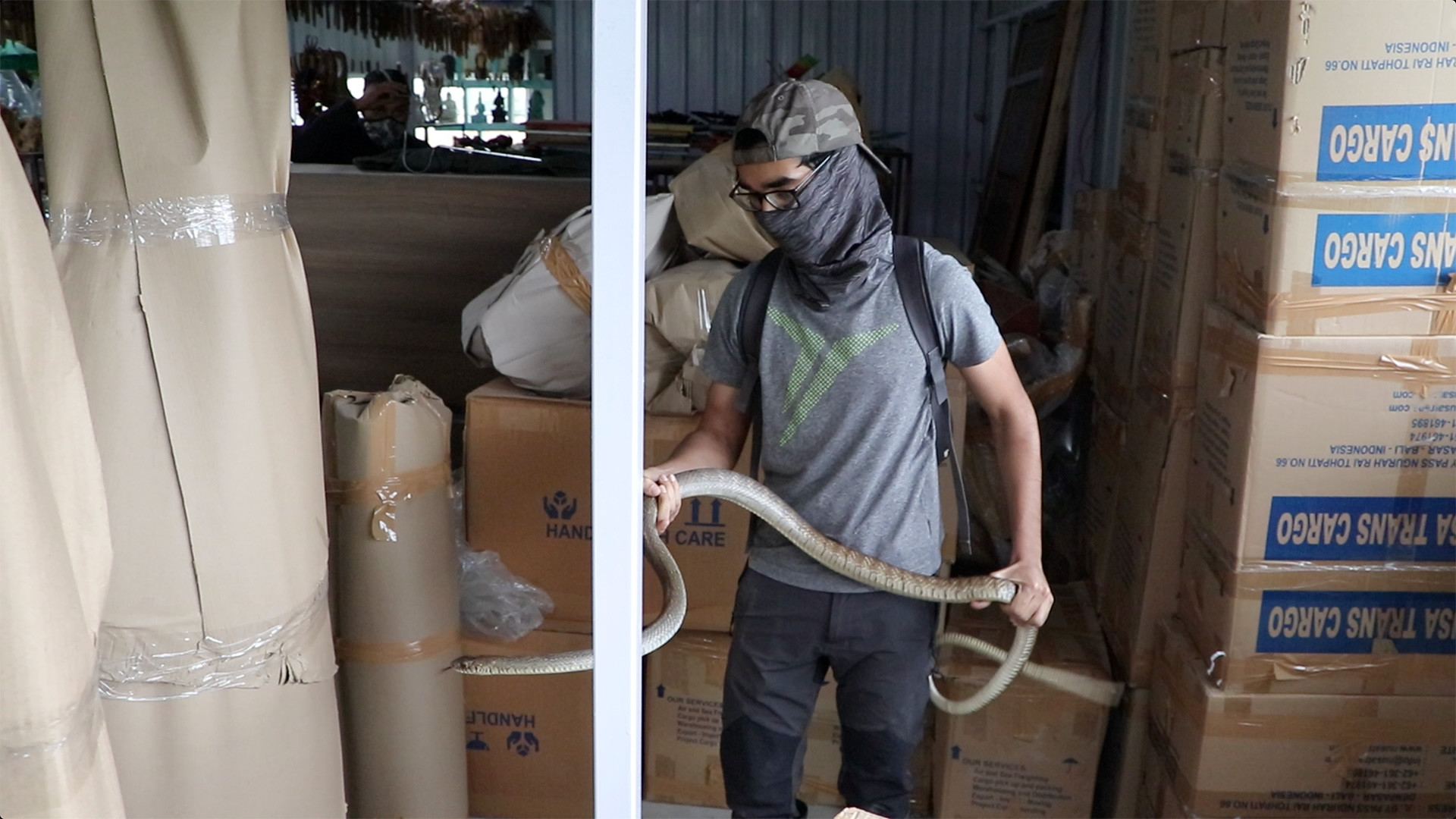 Bangalore's Snake Rescuers Are Busier Than Ever Before Nature inFocus