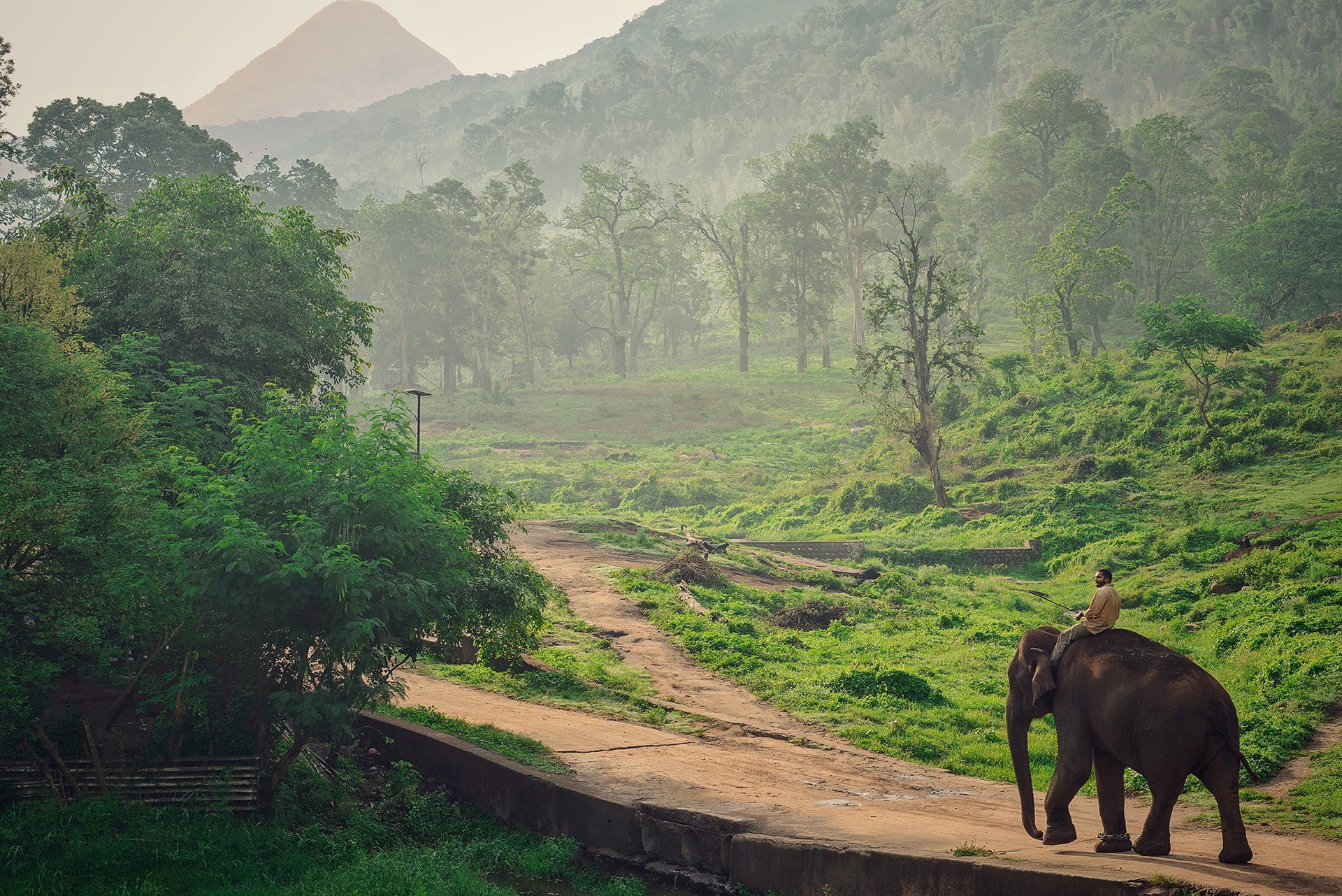 Dsc jpeg - Quick Five: Sreedhar Vijayakrishnan | Nature inFocus