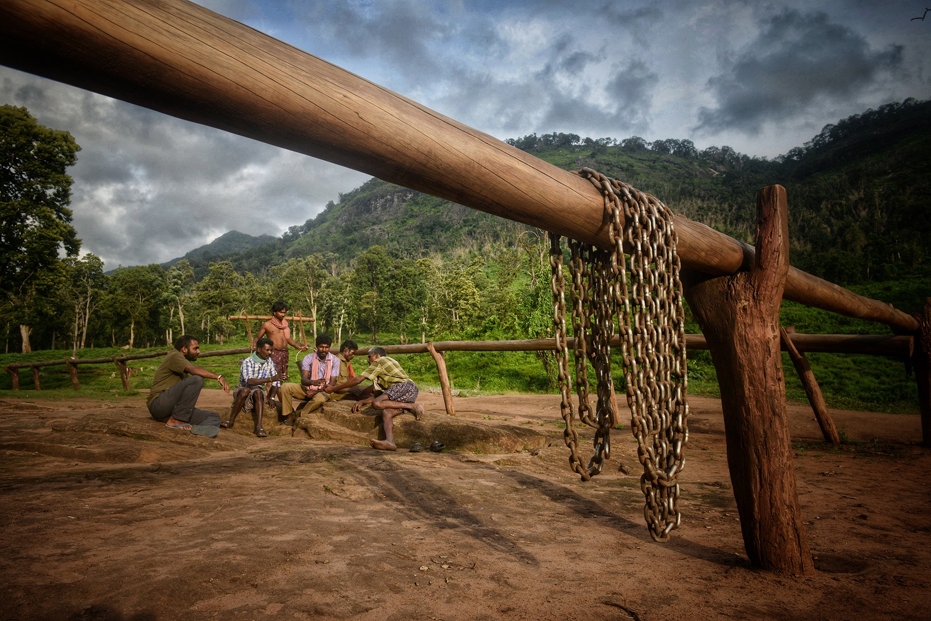 Dsc - Quick Five: Sreedhar Vijayakrishnan | Nature inFocus