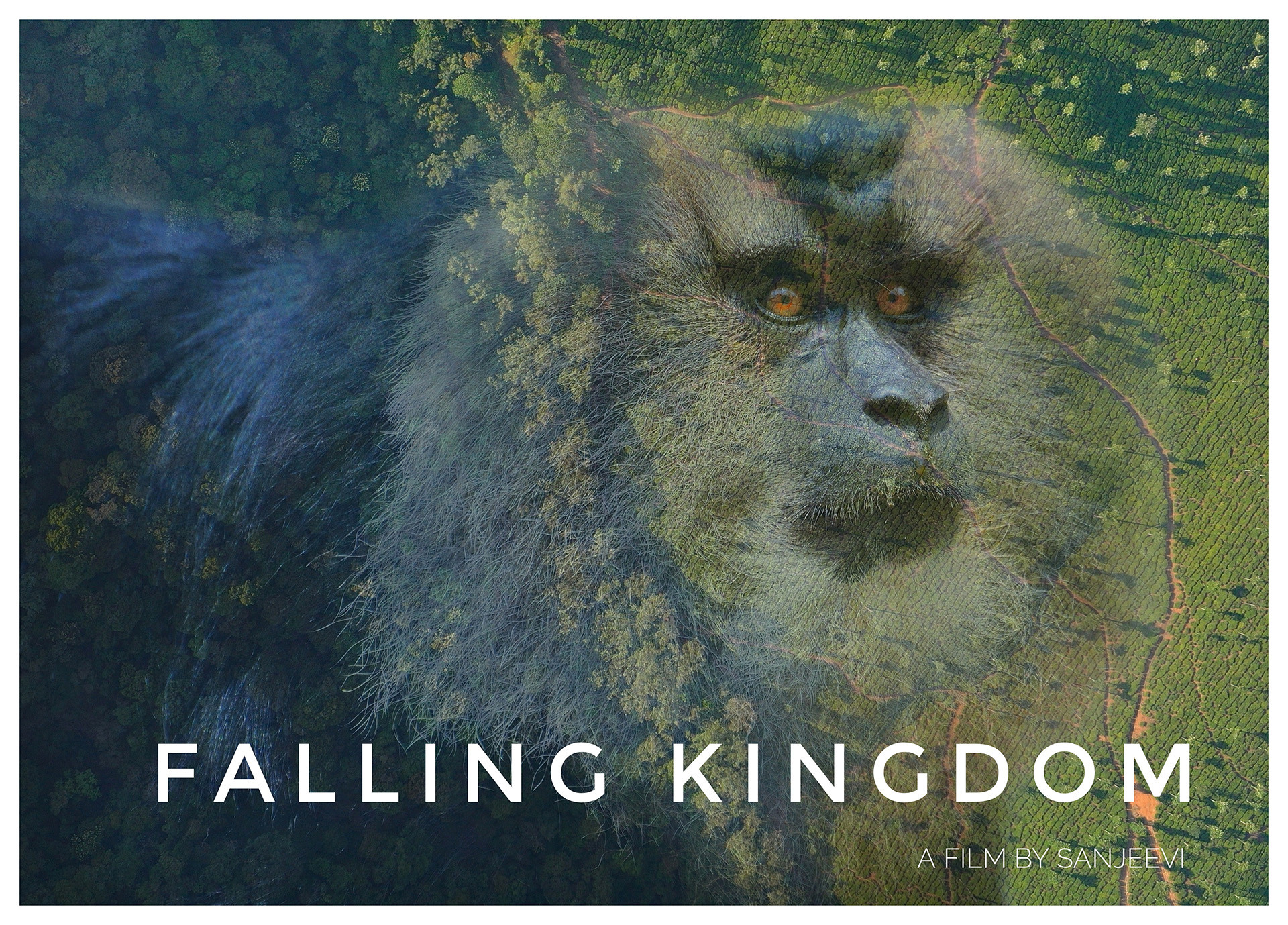 Fallingkingdom poster - Nature inFocus Film Awards 2020: The Winners | Nature inFocus