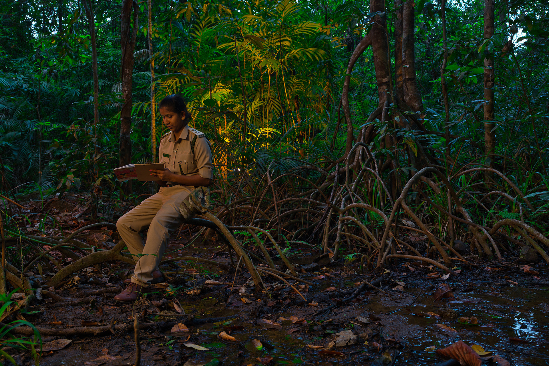 Celebrating The Forests Of Karnataka Nature inFocus