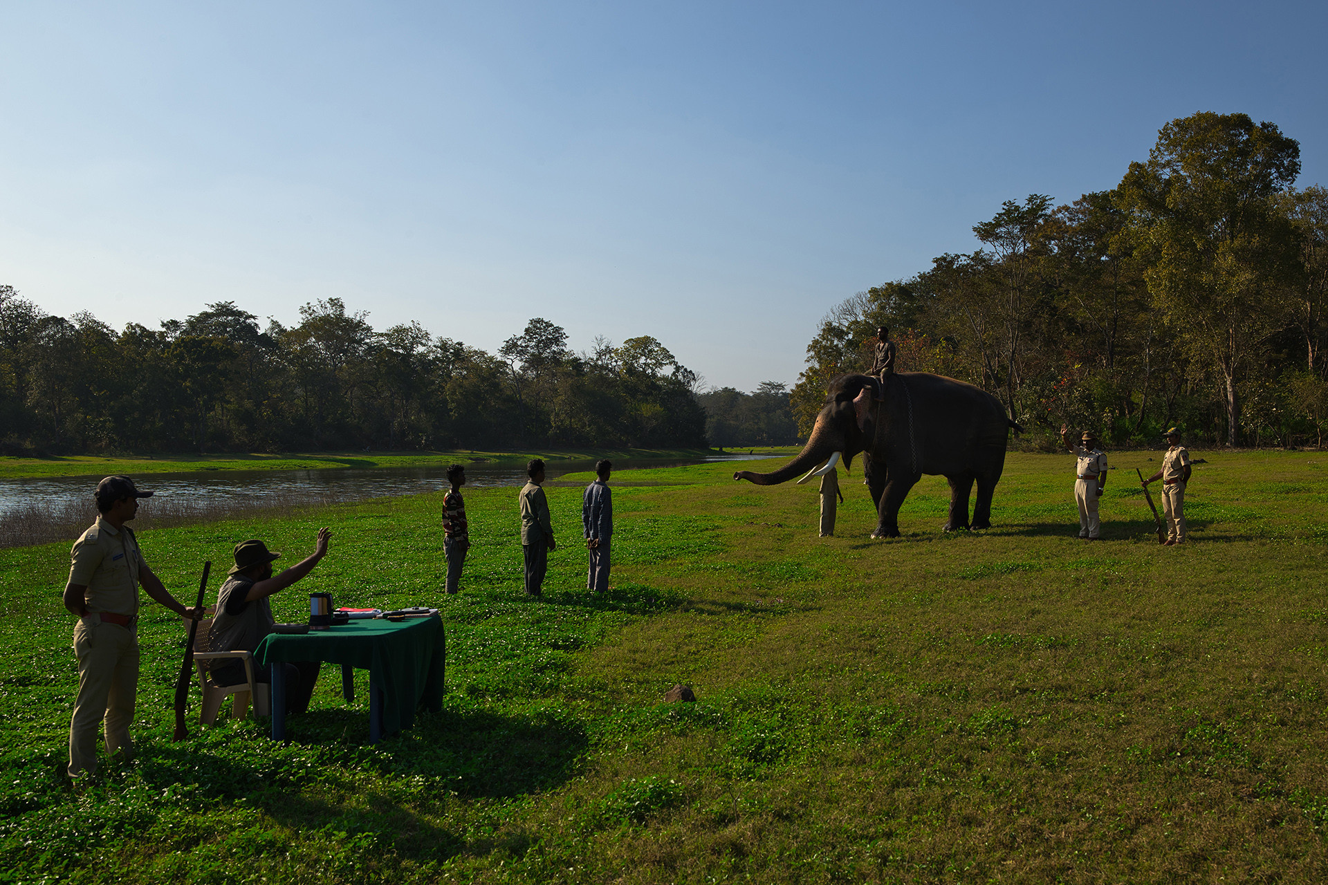 Celebrating The Forests Of Karnataka Nature inFocus